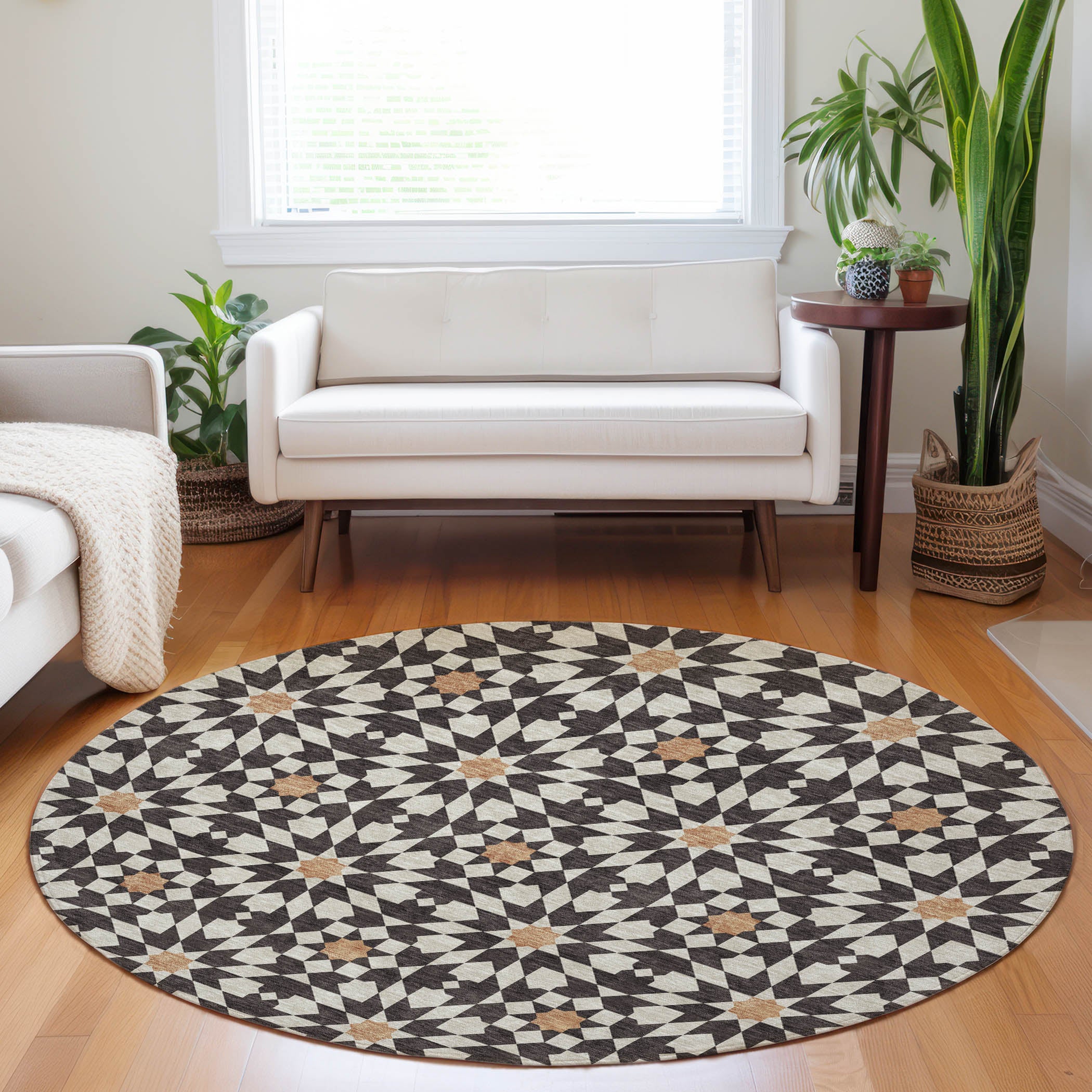 Queenstown Machine Washable Transitional Charcoal Gray Rug 8' x 8' #shape_Round