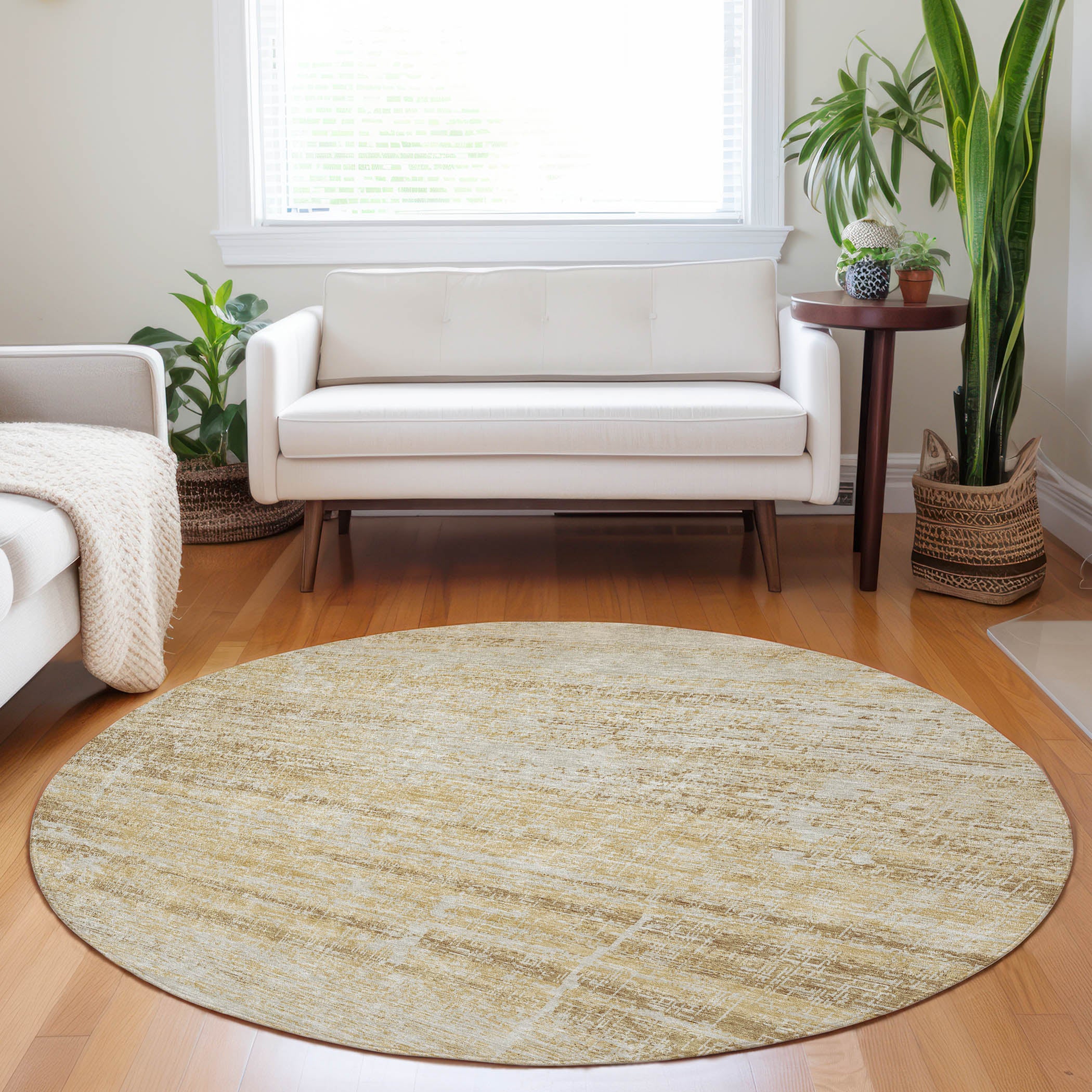 Havana Machine Washable Transitional Gold Rug 8' x 8' #shape_Round