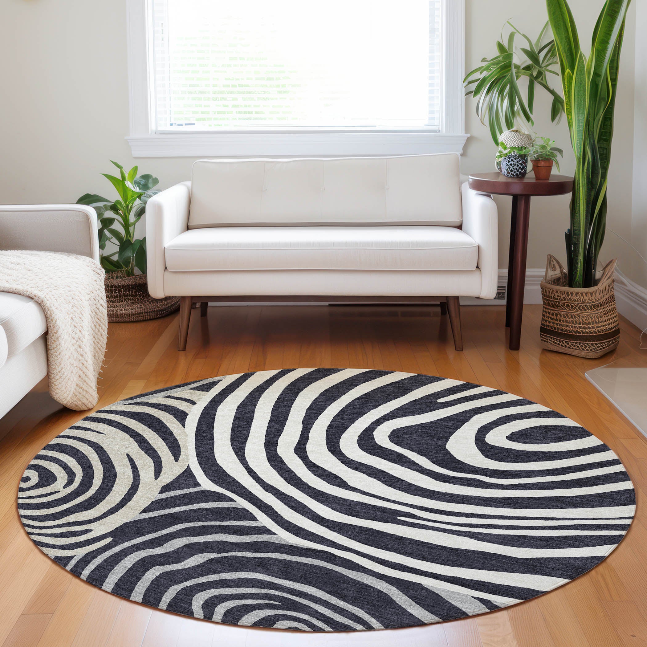 Chiang Mai Machine Washable Transitional Black Rug 8' x 8' #shape_Round