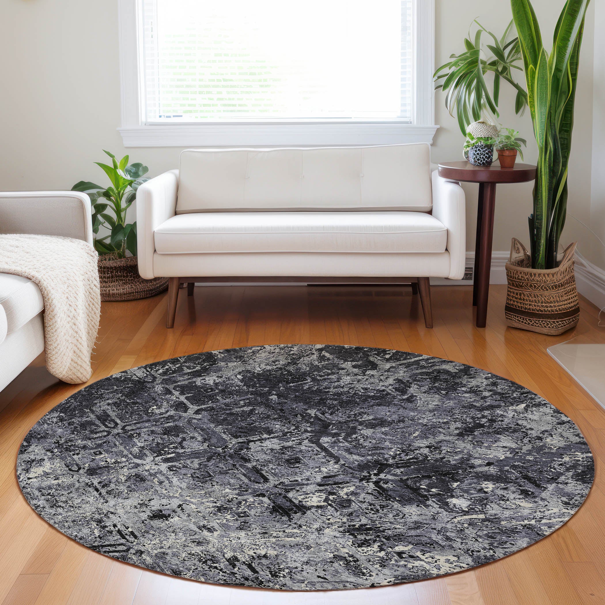 Cairo Machine Washable Transitional Black Rug 8' x 8' #shape_Round