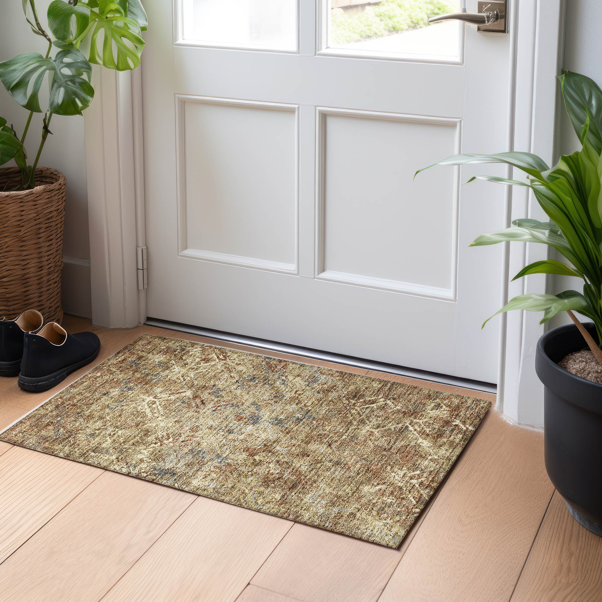 Cairo Machine Washable Transitional Brown Rug 1'8" x 2'6" #shape_Rectangle