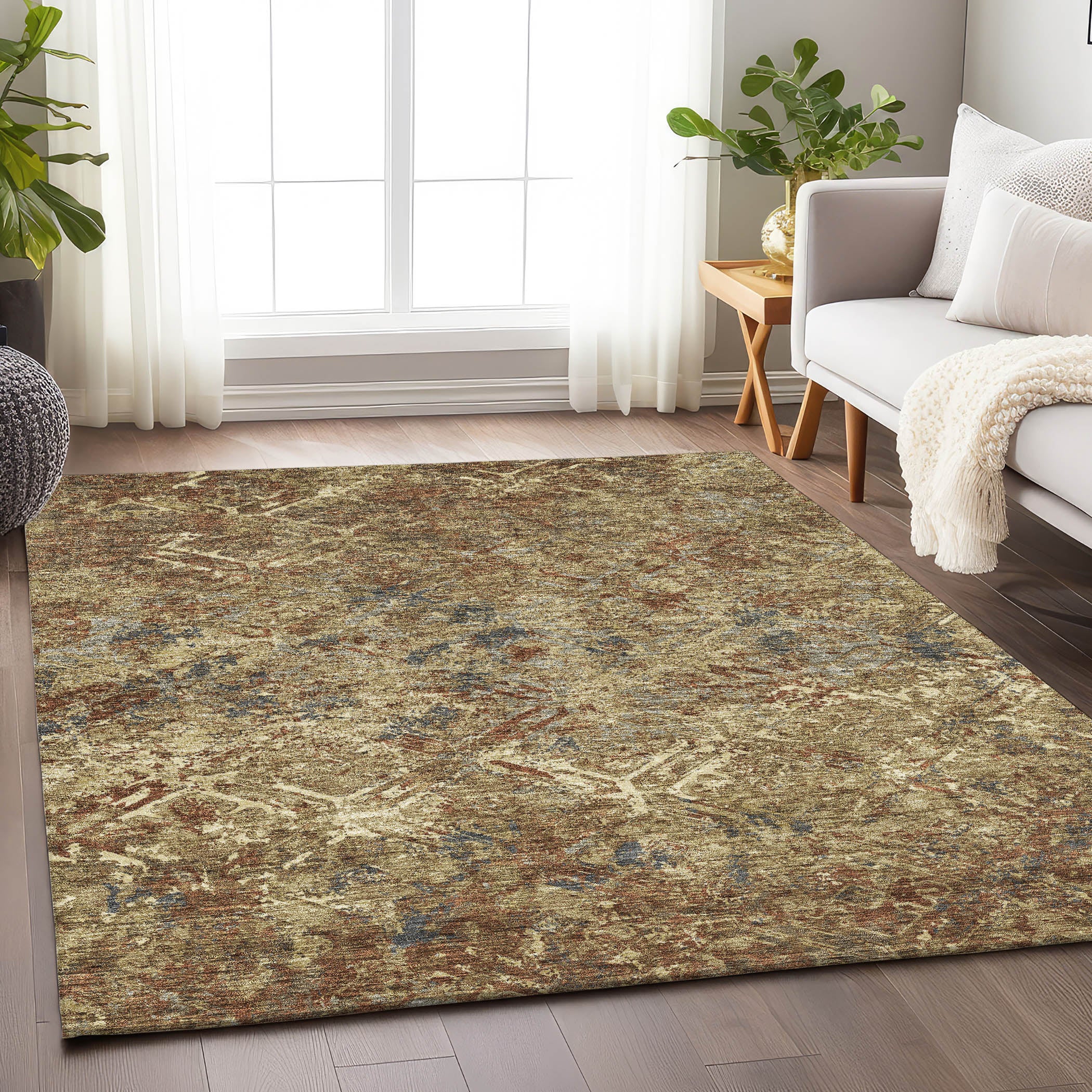 Cairo Machine Washable Transitional Brown Rug 2'6" x 3'10" #shape_Rectangle