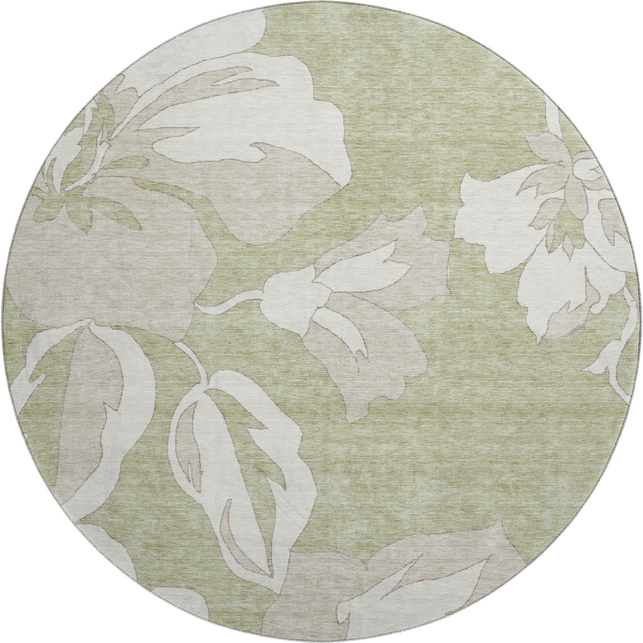 Oaxaca Machine Washable Transitional Aloe Green Rug 8' x 8' #shape_Round