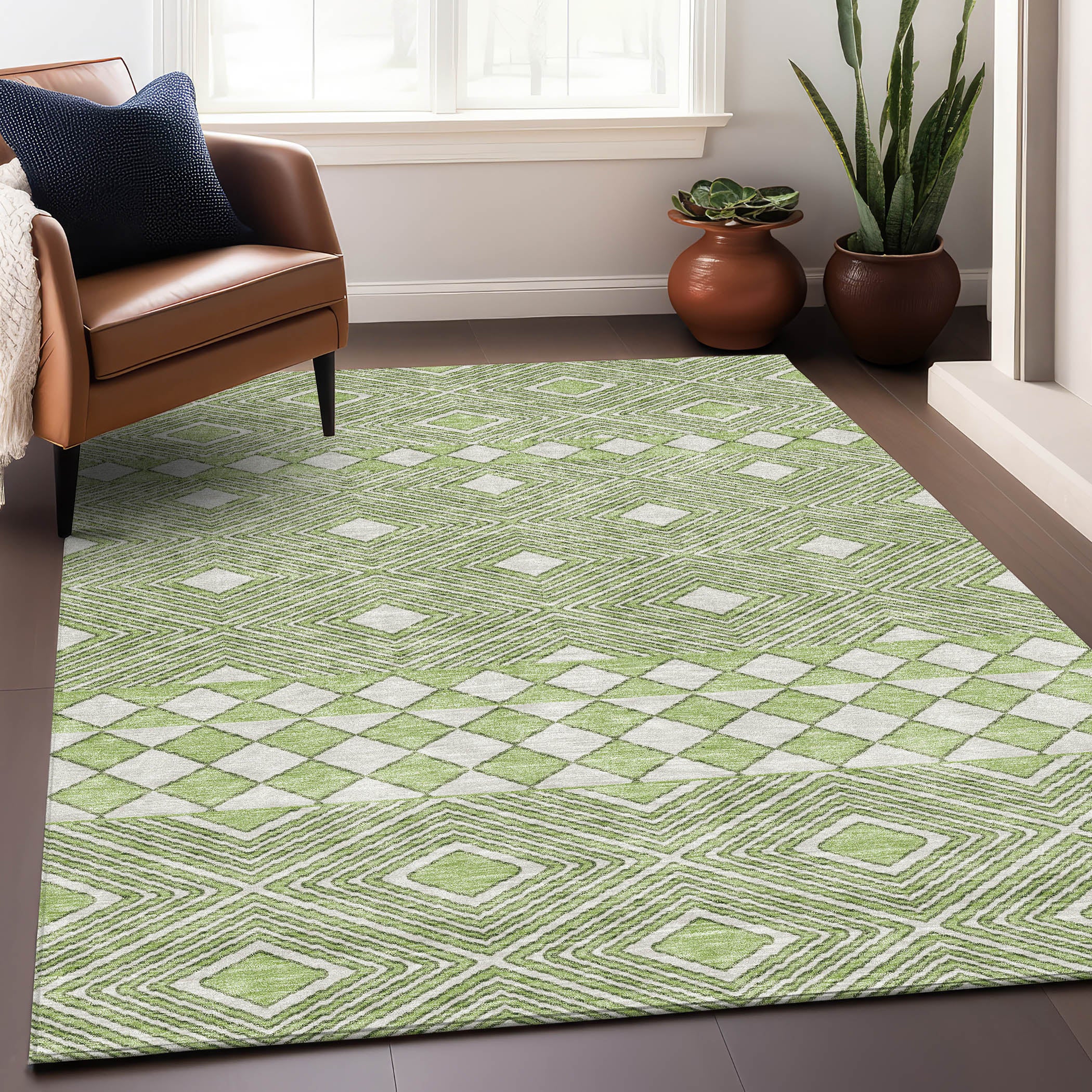 Dubrovnik Machine Washable Transitional Aloe Green Rug 2'6" x 3'10" #shape_Rectangle