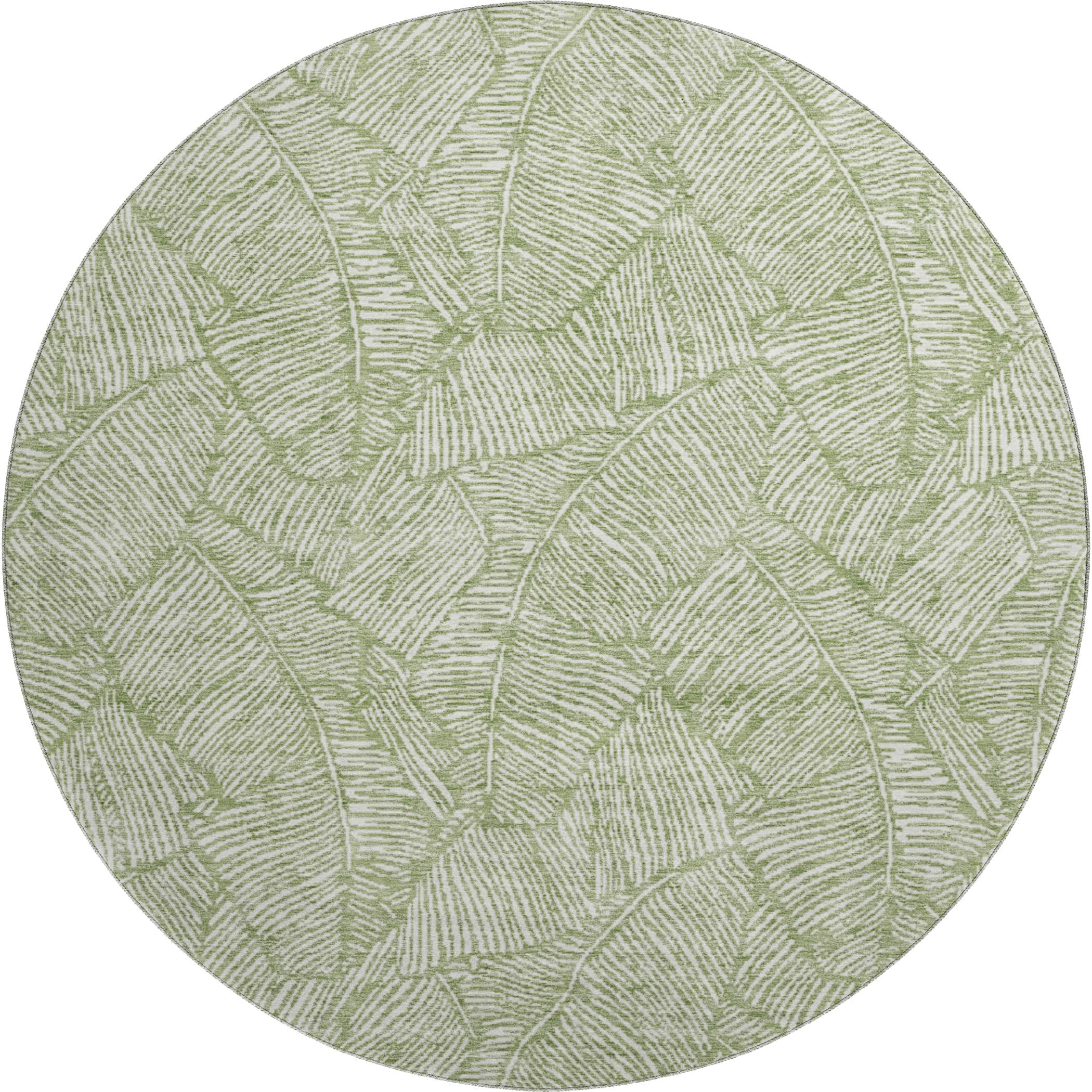 Dubrovnik Machine Washable Transitional Green Rug 8' x 8' #shape_Round