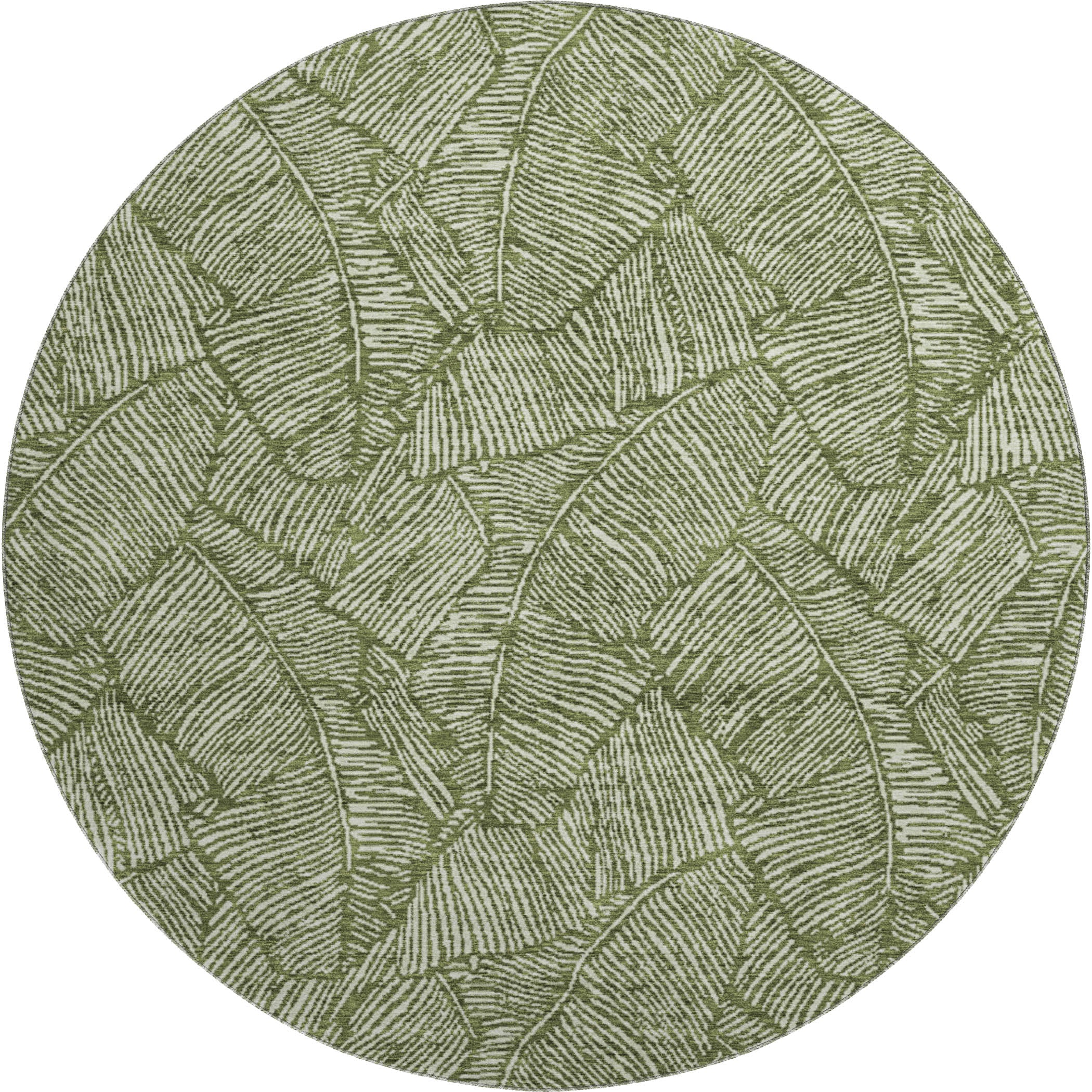 Dubrovnik Machine Washable Transitional Olive Green Rug 8' x 8' #shape_Round