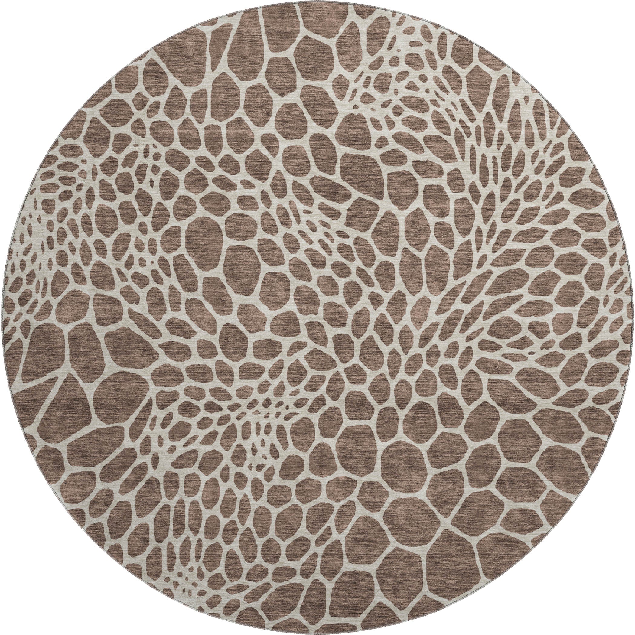 Rome Machine Washable Transitional Brown Rug 8' x 8' #shape_Round