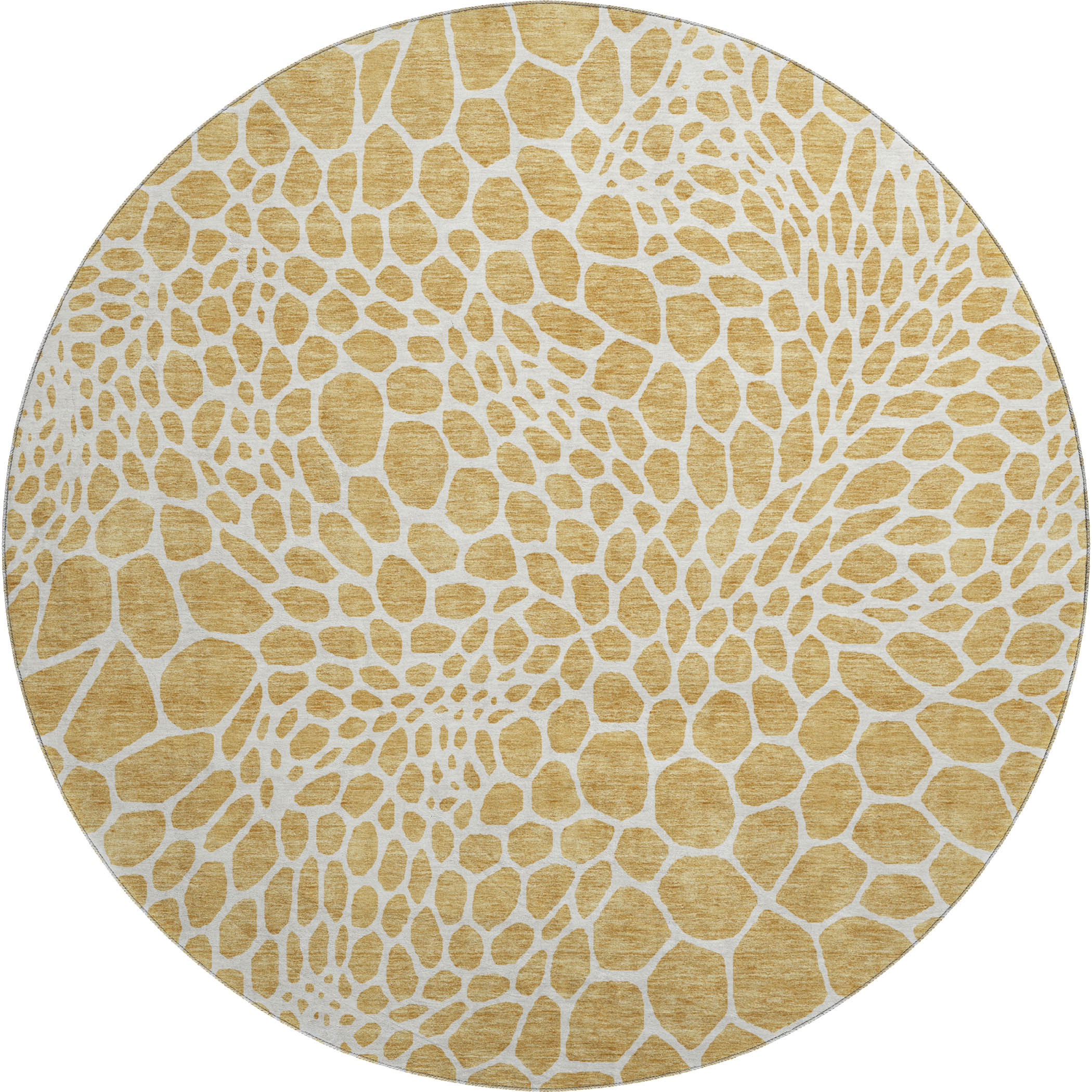 Rome Machine Washable Transitional Gold Rug 8' x 8' #shape_Round