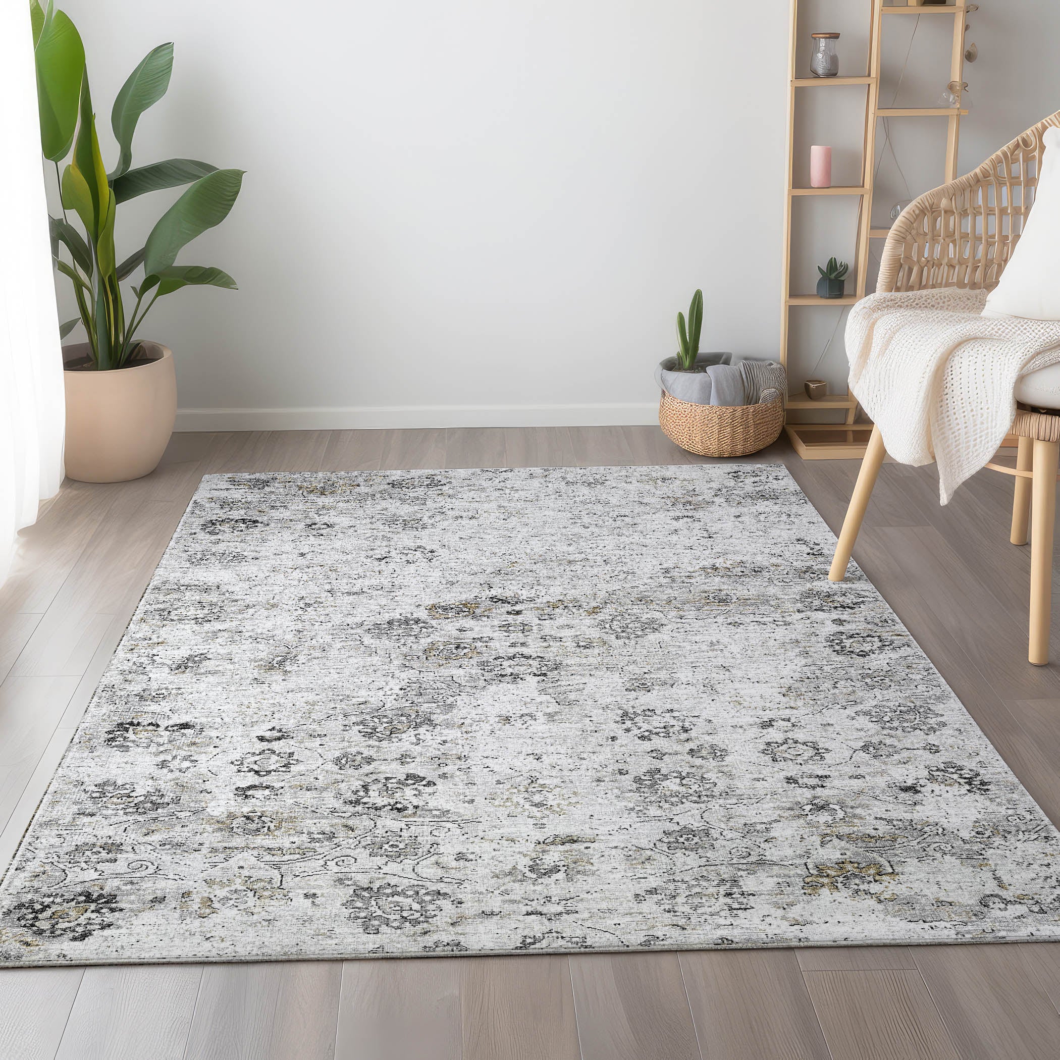 Queenstown Machine Washable Traditional Dove Gray Rug 2'6" x 3'10" #shape_Rectangle