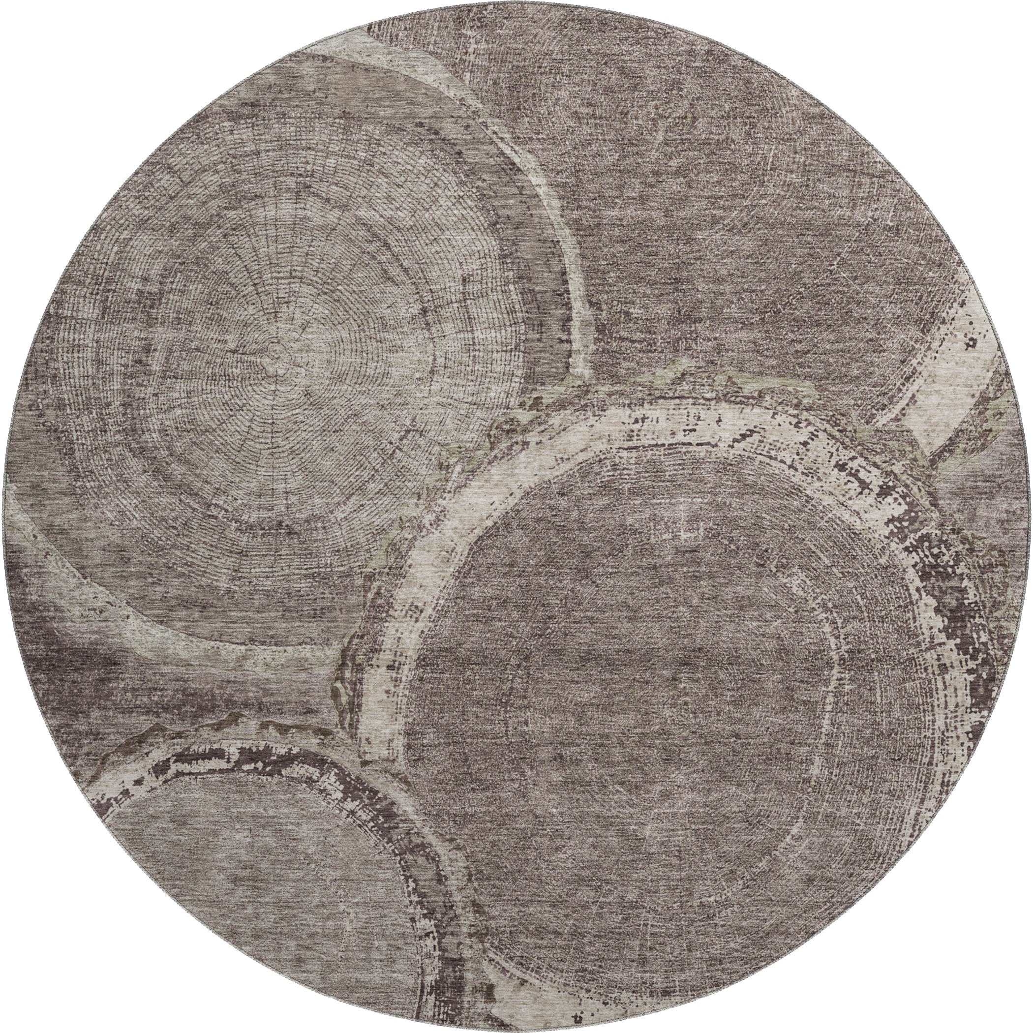 Kotor Machine Washable Transitional Chocolate Brown Rug 8' x 8' #shape_Round