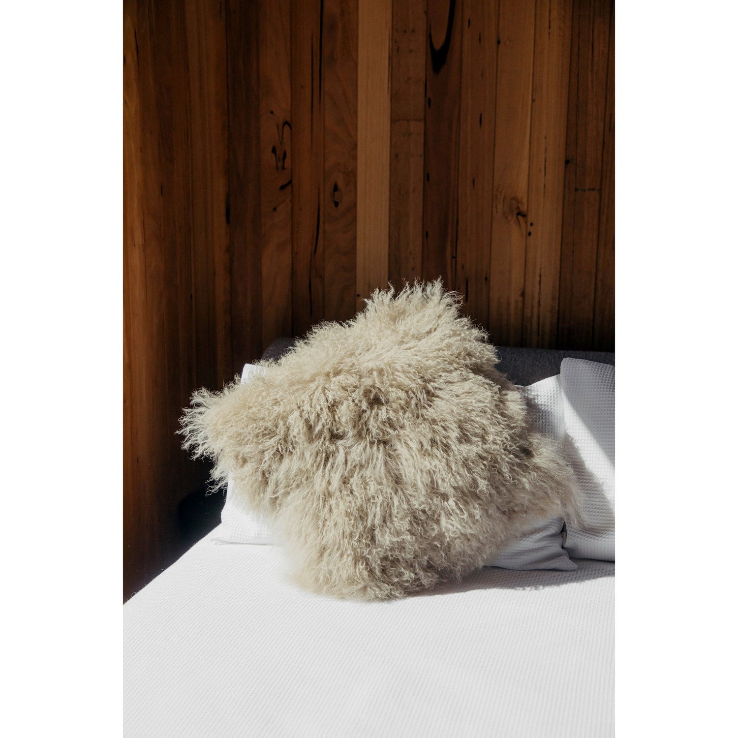 Longwool Tibetan Lamb Cushion Tibetan Sheepskin Birch 4