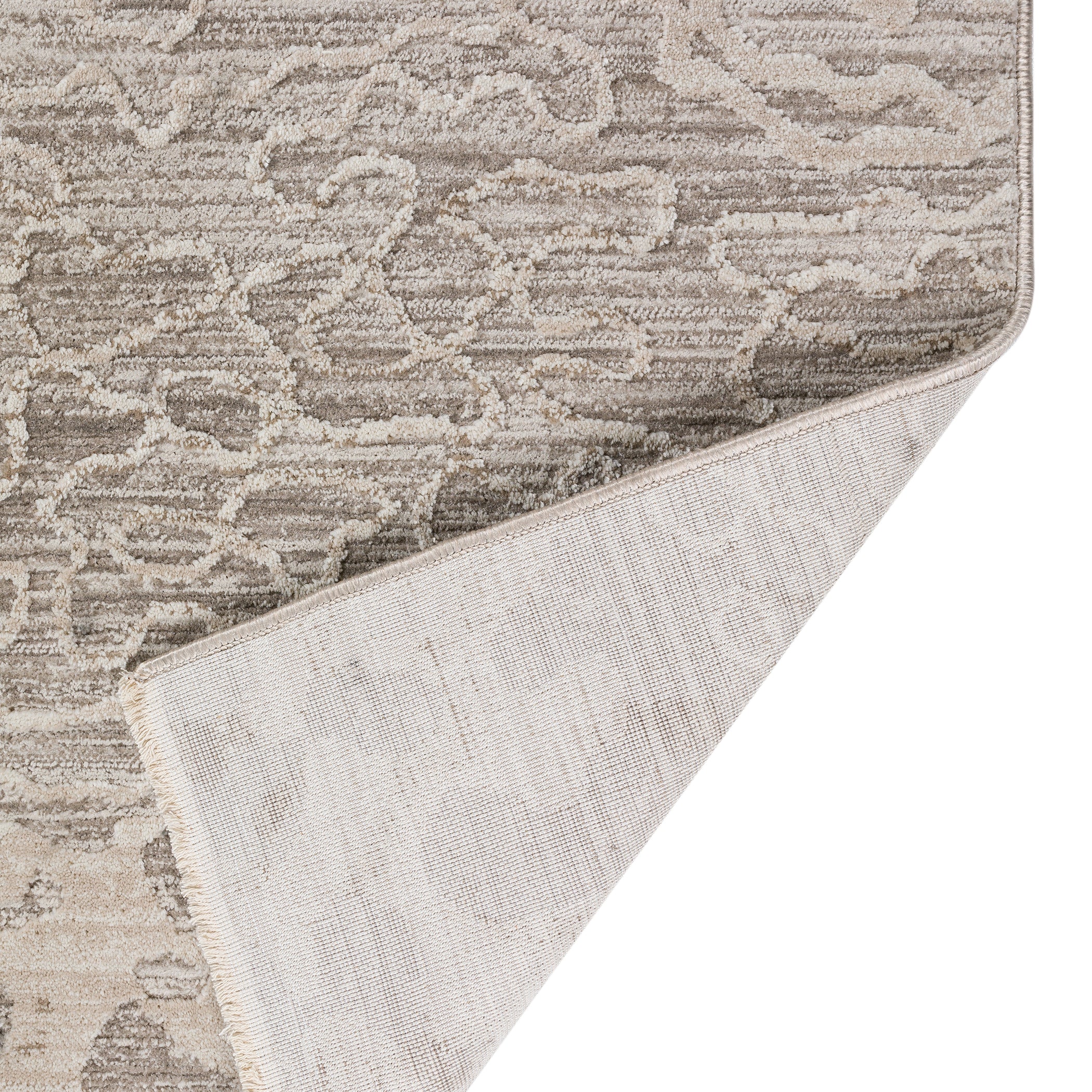 Transitional DZ6 Silver Gray Rug 3'3" x 5'3" #shape_Rectangle