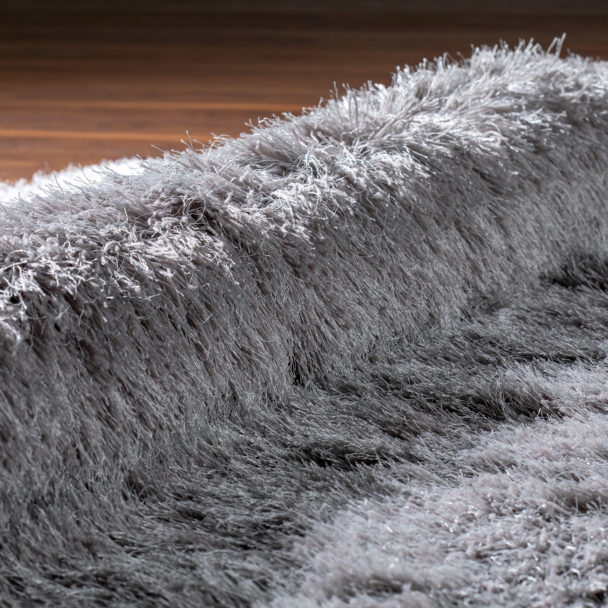 Transitional IA100 Silver Gray Rug 2' x 3' #shape_Rectangle