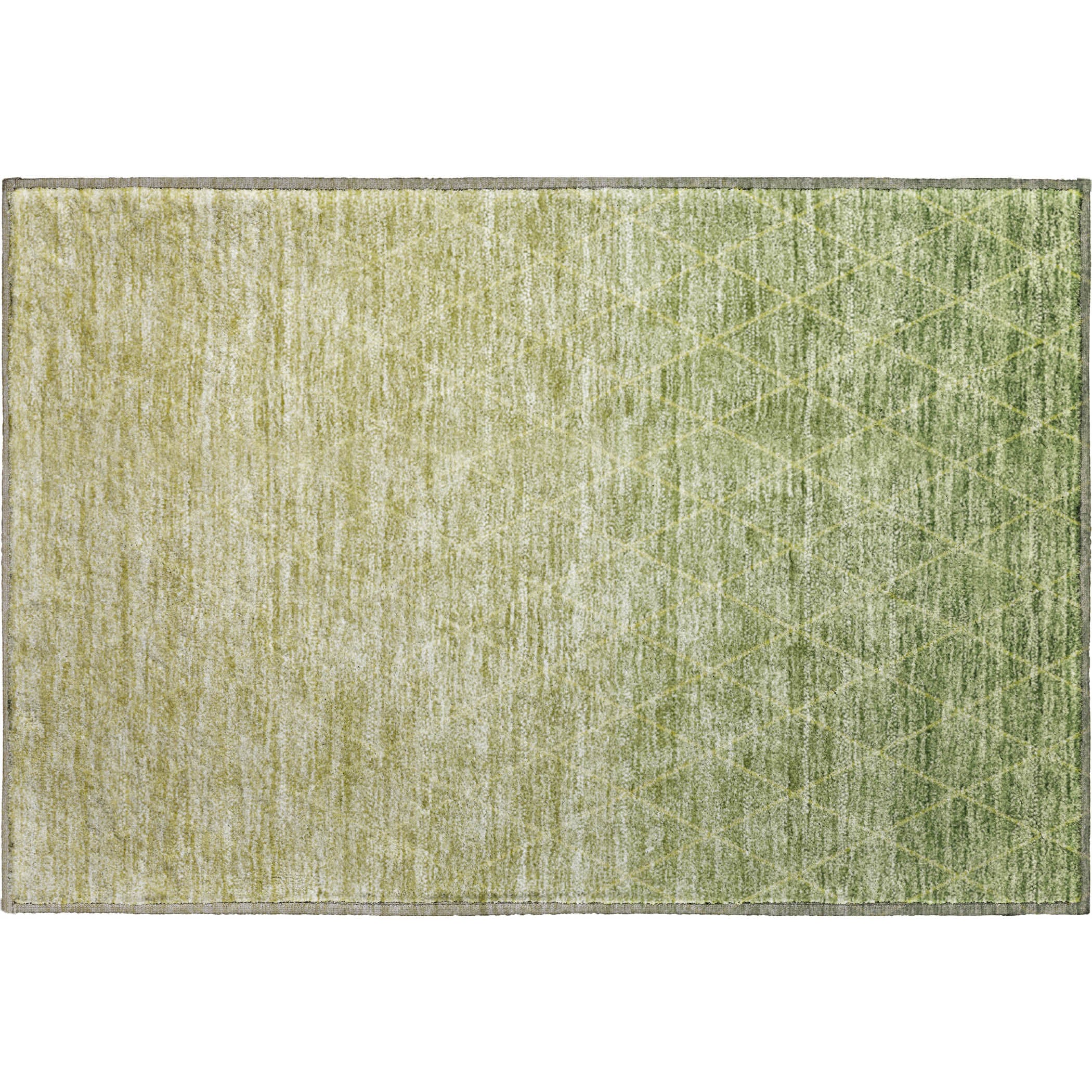 Luxury Washable Indoor/Outdoor transitional LZ2 Aloe Green Rug 1'8" x 2'6" #shape_Rectangle