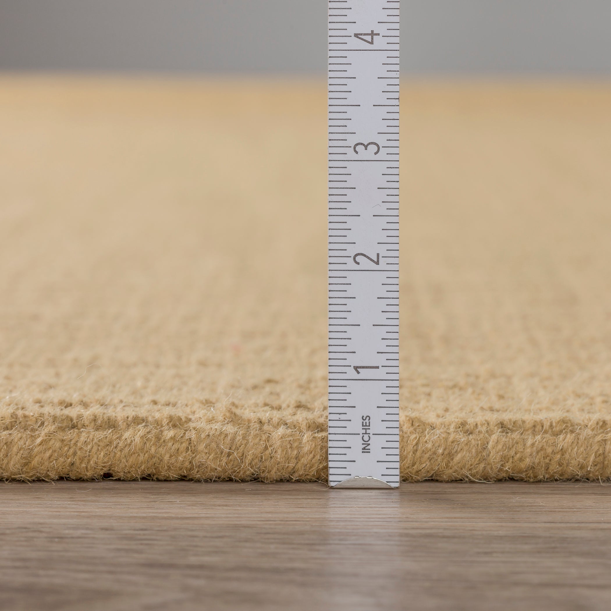 Transitional MC100 Gold 8 x 10 Wool Rug 8' x 10' #shape_Rectangle