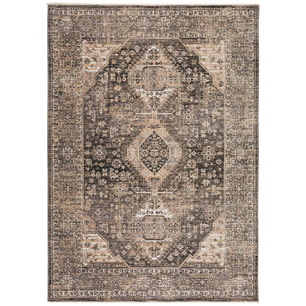 Odessa OD2 Graphite Gray Area Rug #color_graphite gray