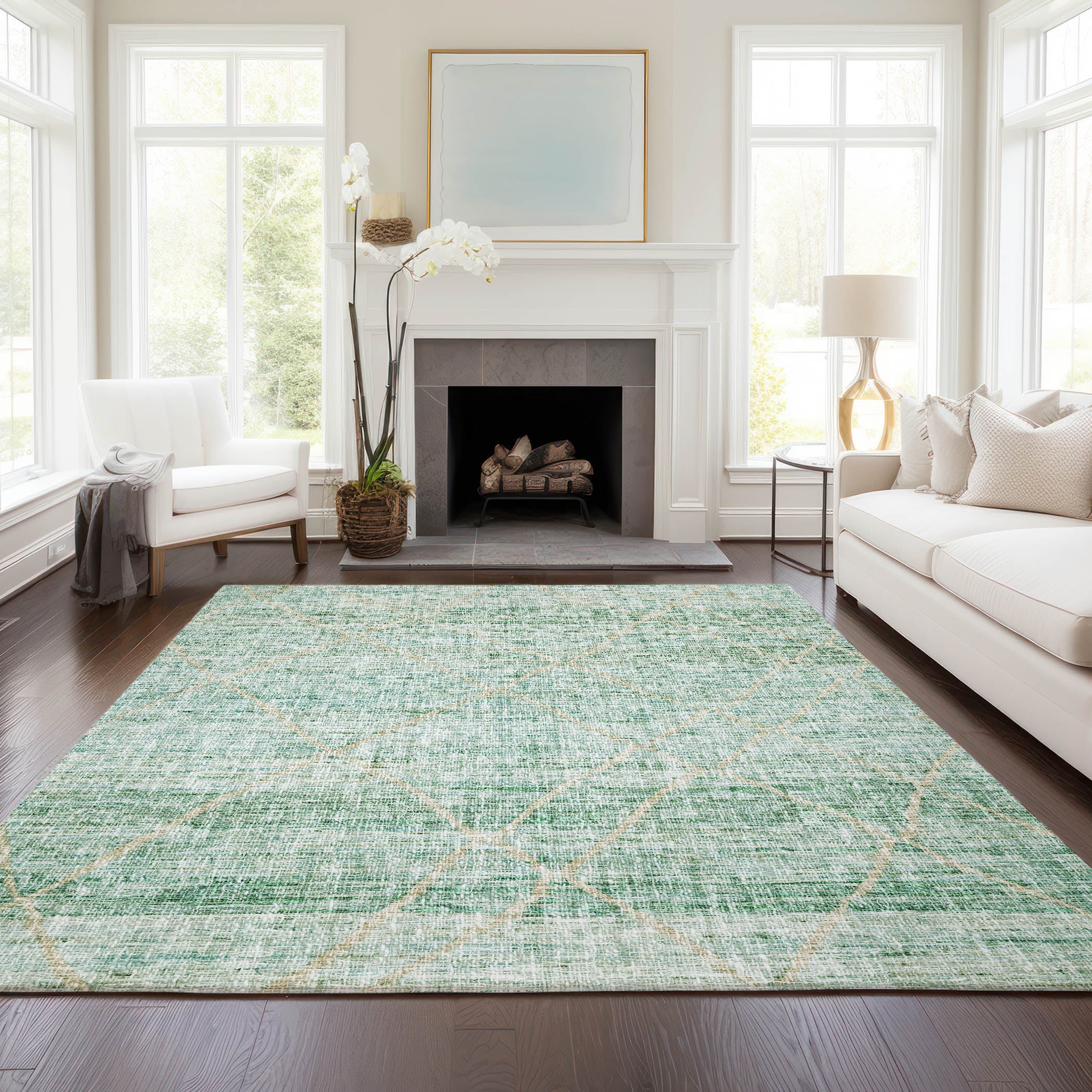 Luxury Washable Indoor/Outdoor Transitional PO1 Aloe Green Rug 2'6" x 3'10" #shape_Rectangle