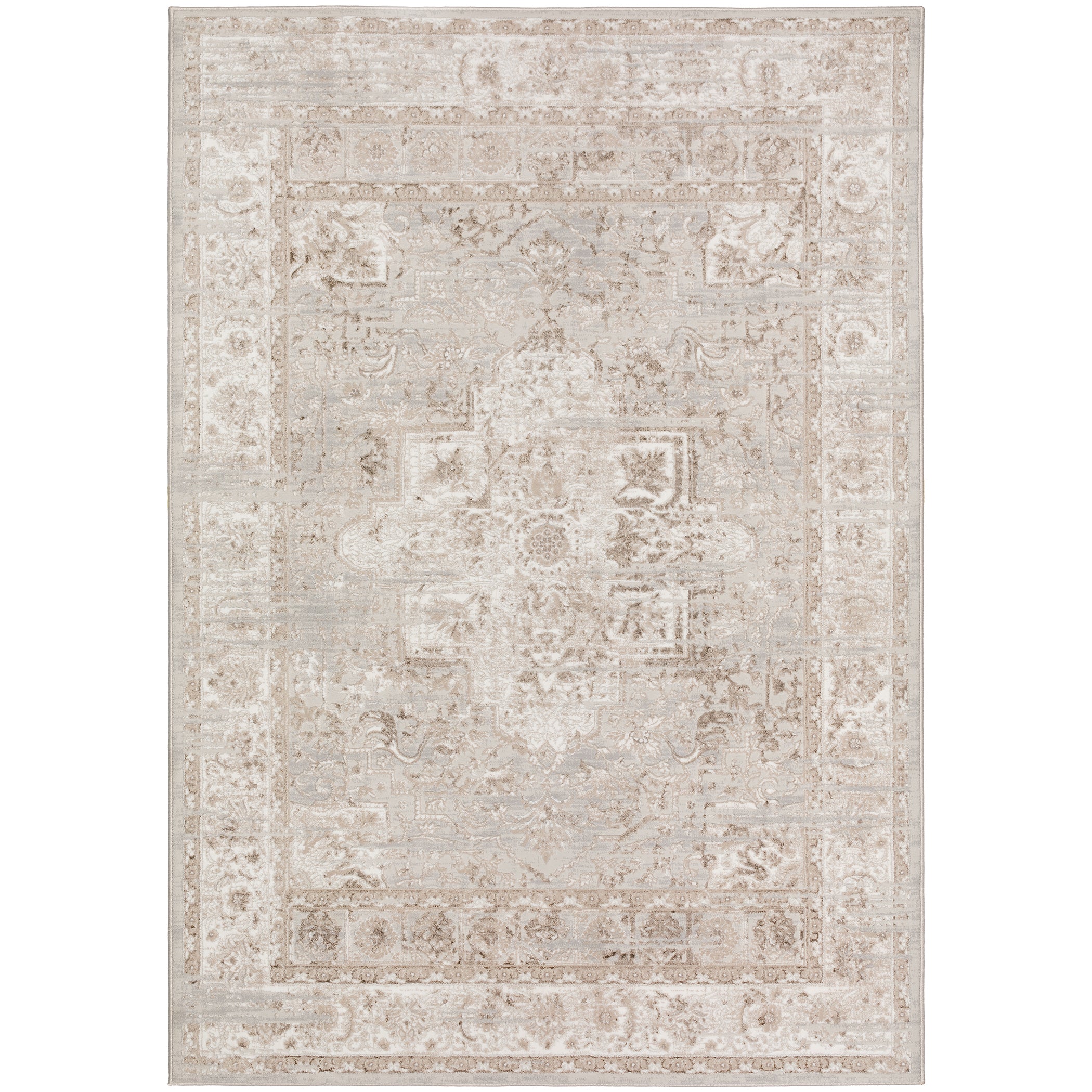 Transitional RR6 Taupe Brown Rug 3'2" x 5'1" #shape_Rectangle