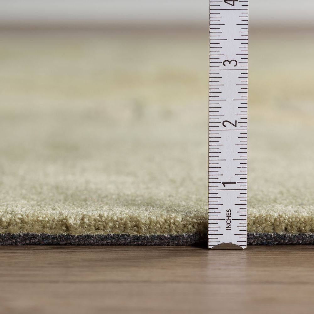 Studio SD301 Aloe Green Area Rug #color_aloe green
