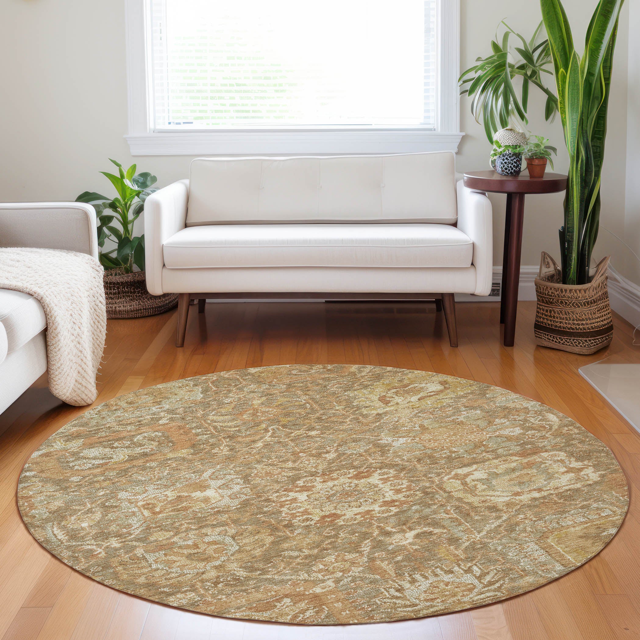 Luxury Washable Indoor/Outdoor Traditional TB10 Khaki Brown Rug 8' x 8' #shape_Round