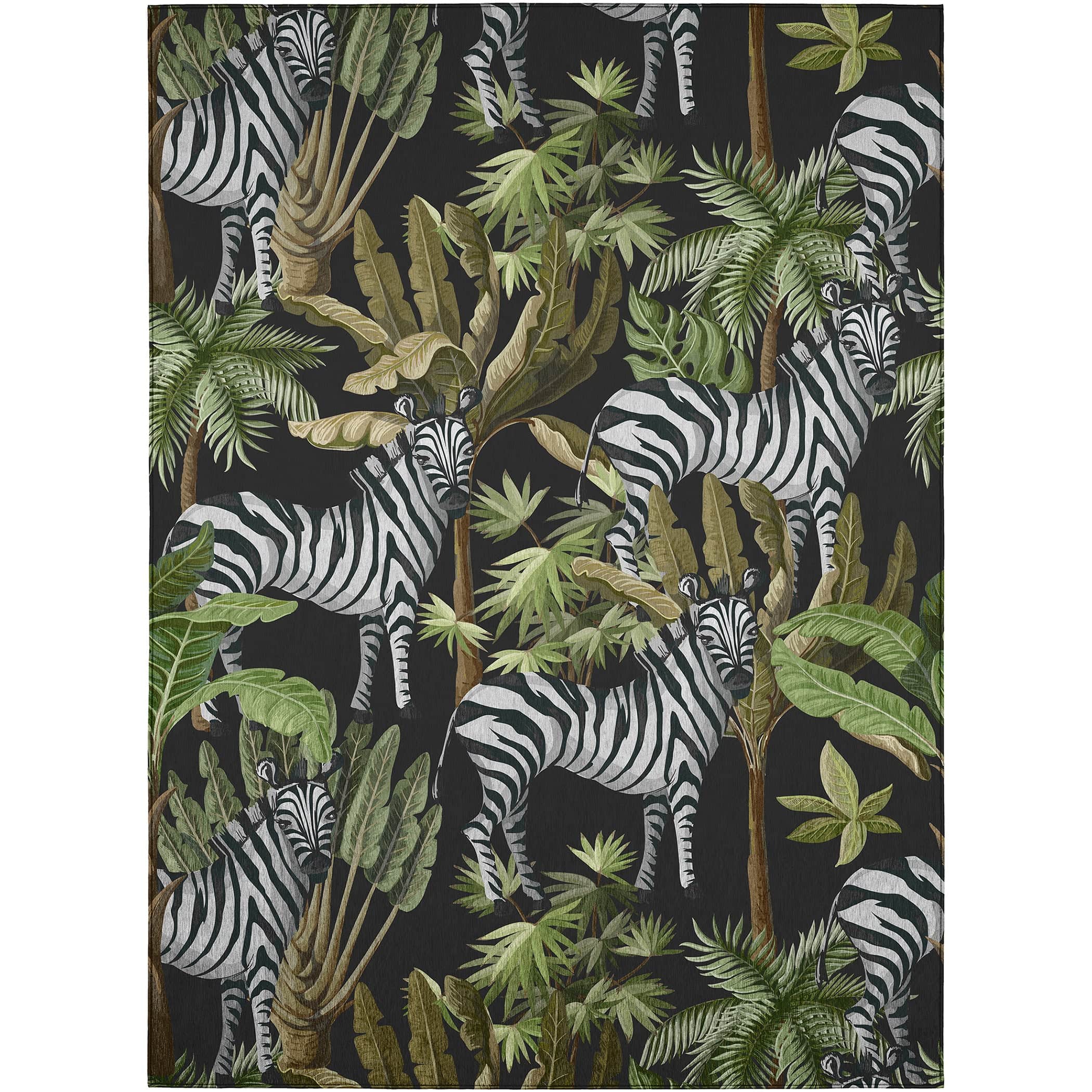 Luxury Machine Washable Indoor/Outdoor Tropical TC13 Black Rug 2'6" x 3'10" #shape_Rectangle