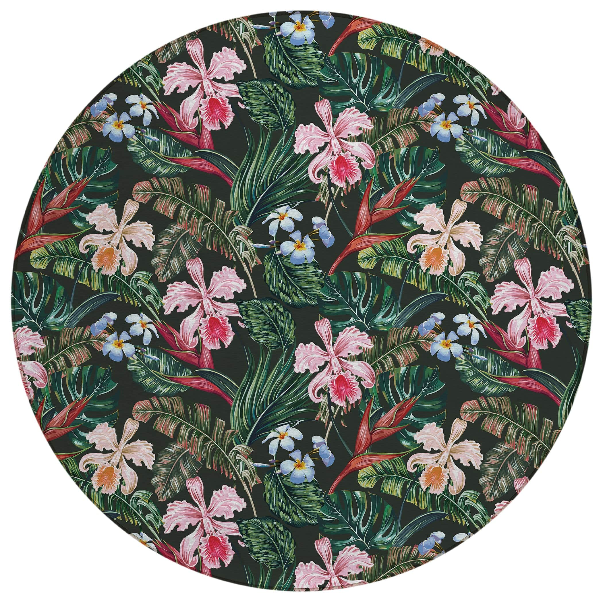 Luxury Machine Washable Indoor/Outdoor Tropical TC6 Black Rug 8' x 8' #shape_Round