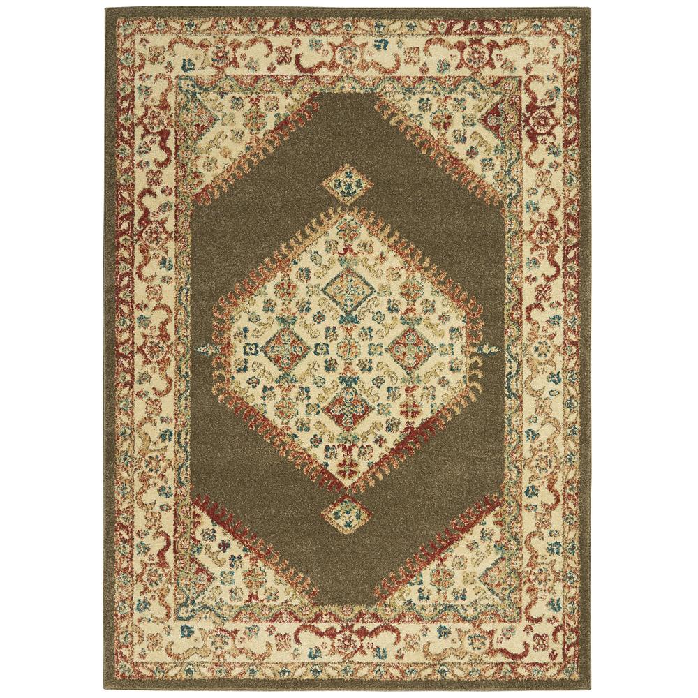 Traditional Vintage TRV03 Brown Rugs #color_brown