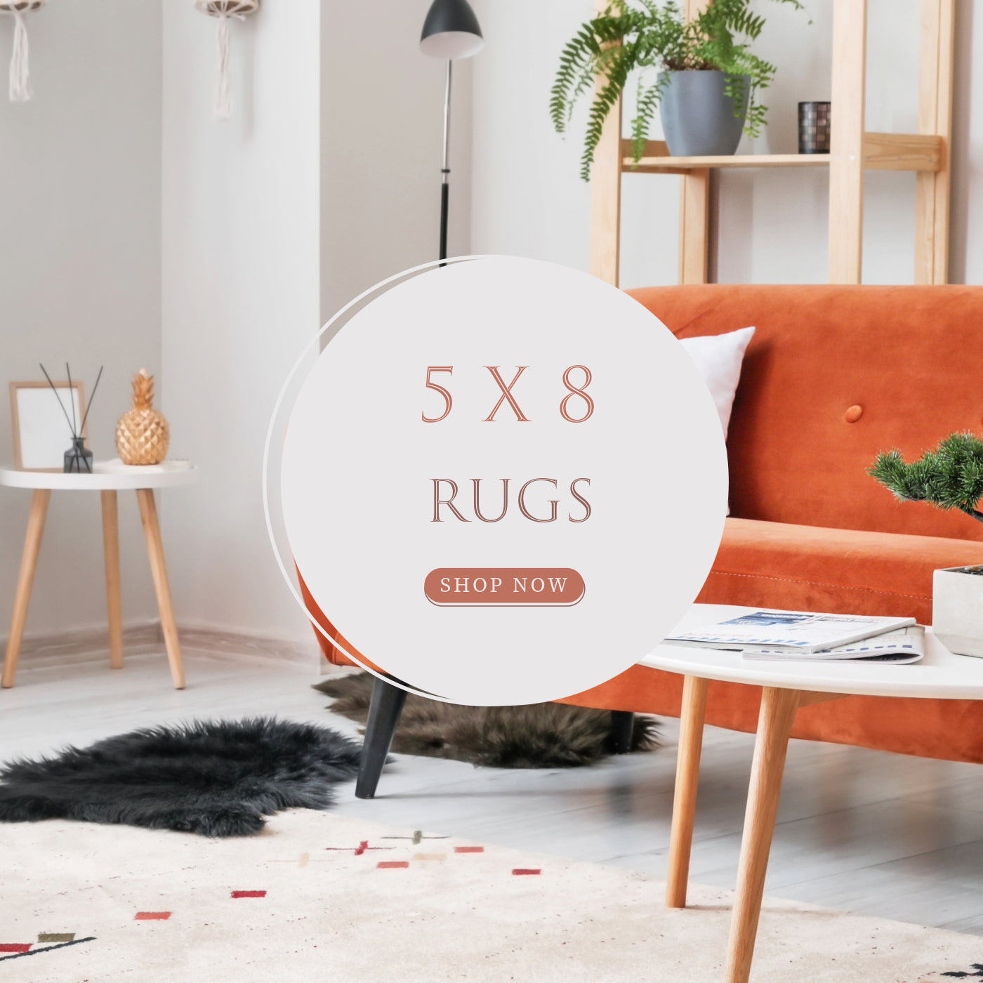 5x8 living room rugs