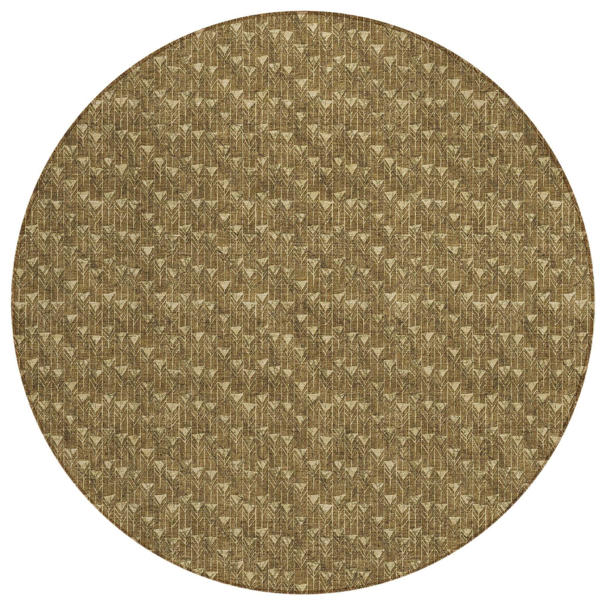 Machine Made ACN514 Brown Rugs