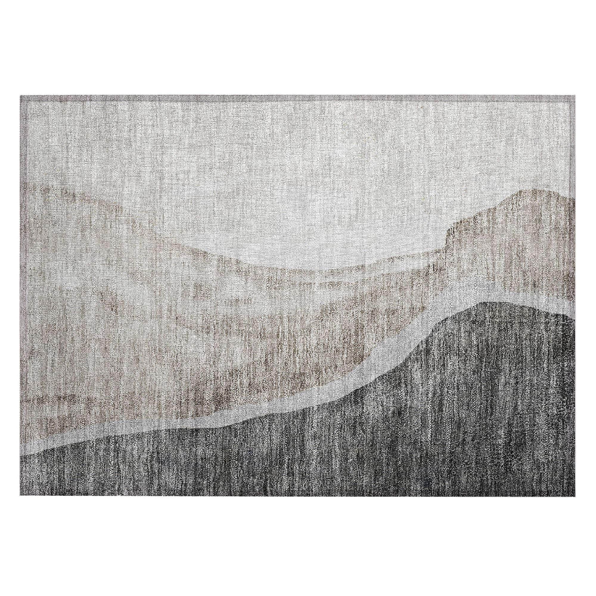 Machine Washable Charcoal Gray Rug - Indoor / Outdoor - Kids / Pet Friendly Abstract Print Rug