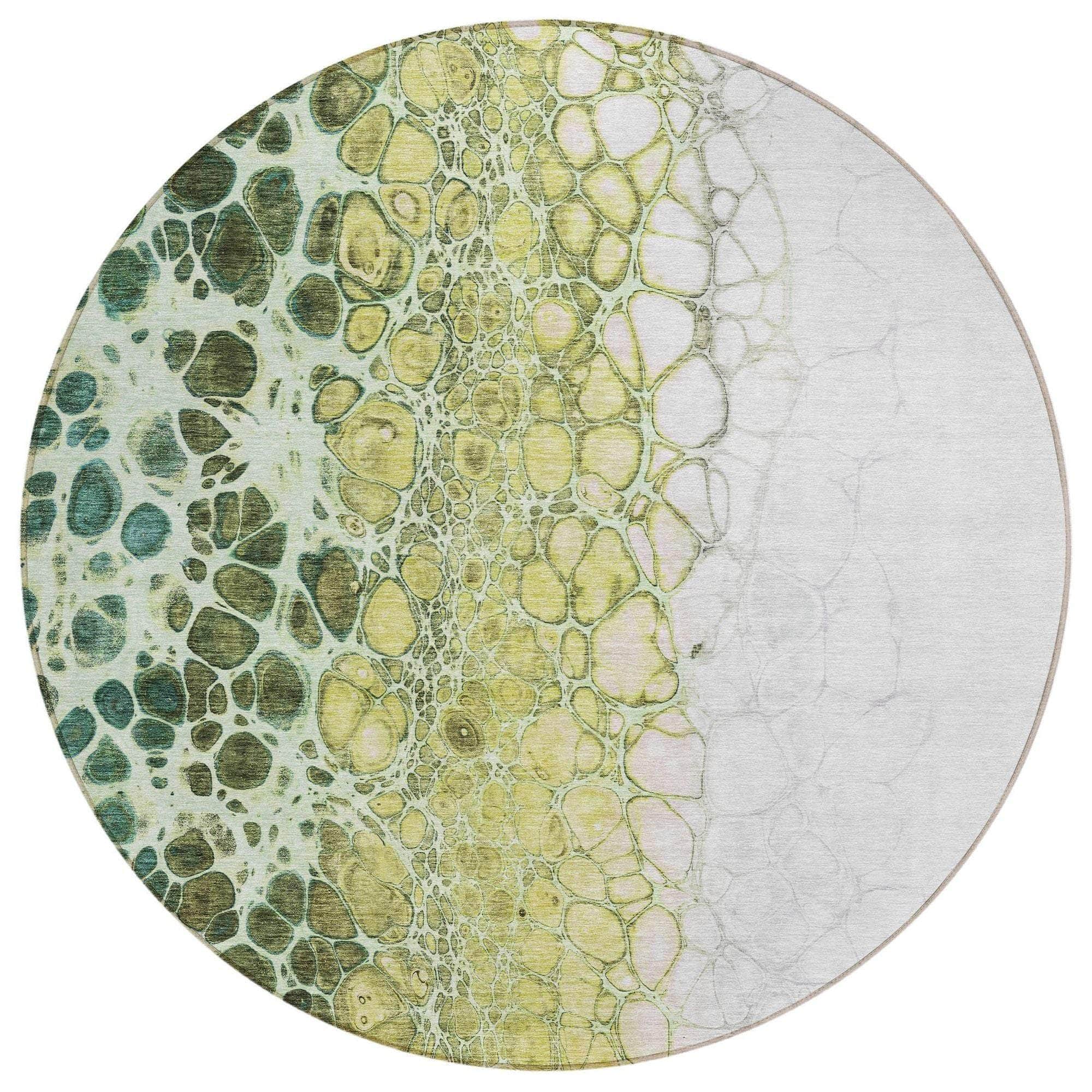 Machine Washable Olive Green Rug - Indoor / Outdoor - Kids / Pet Friendly Abstract Print Rug