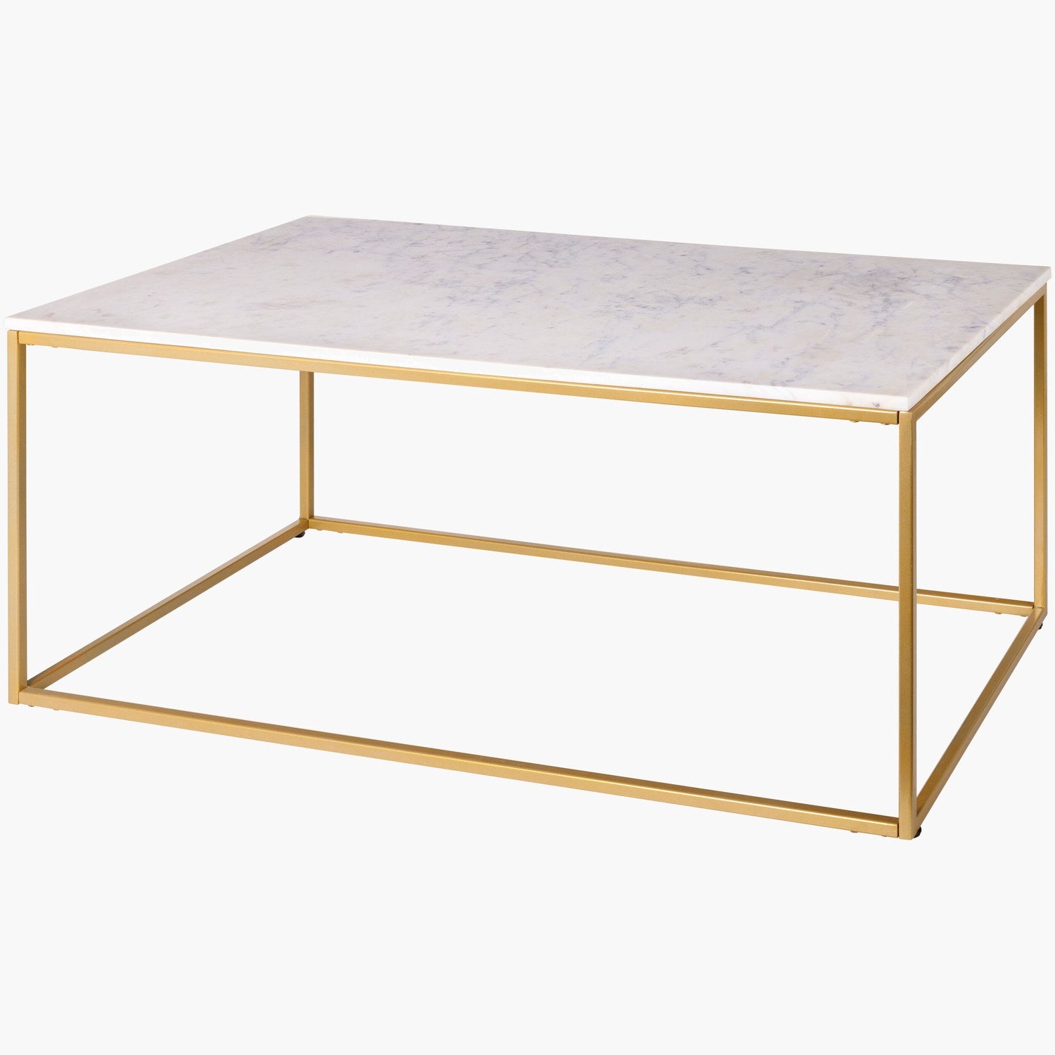 Aryaa Coffee Table in White 016