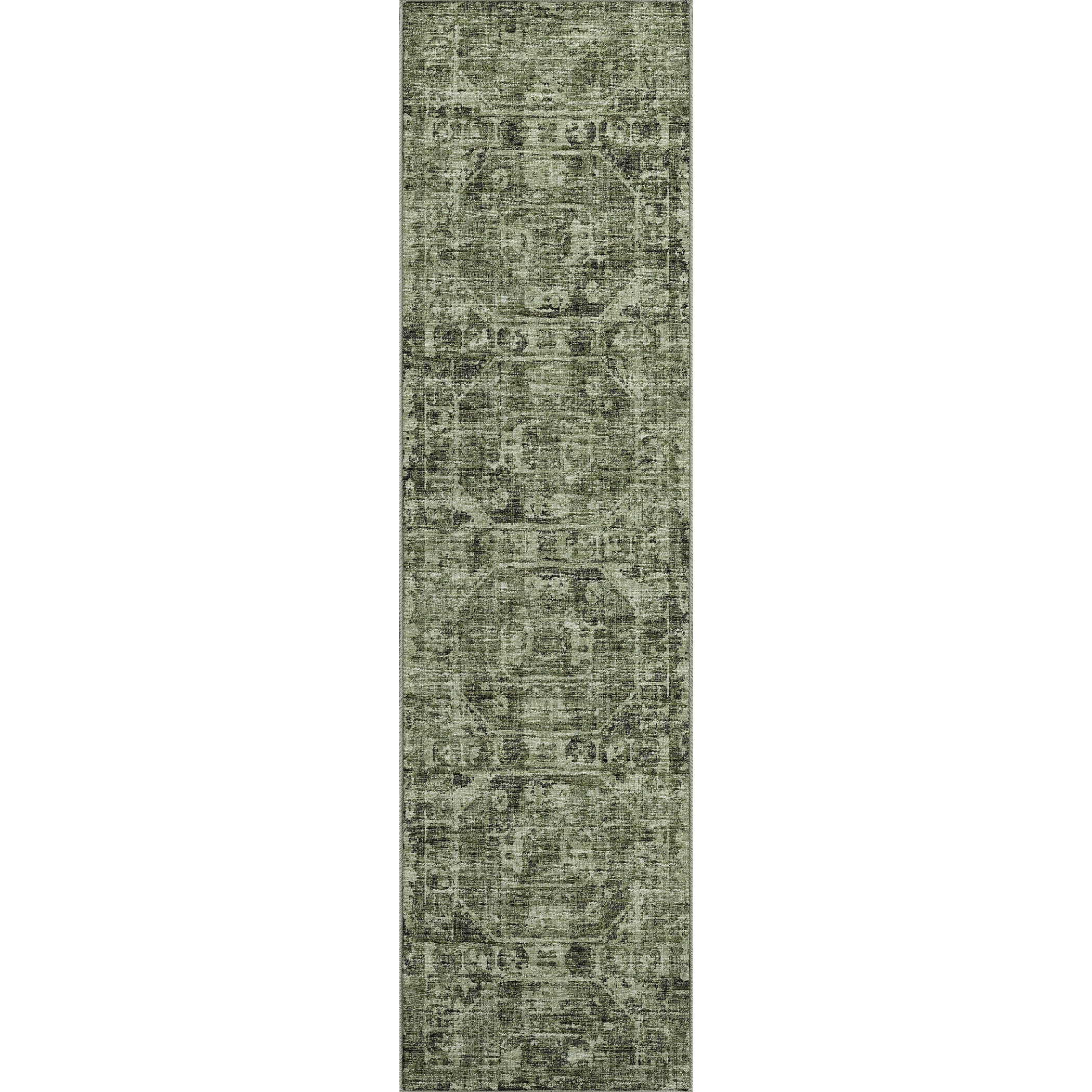 Luxury Machine Washable Indoor/Outdoor Traditional AB2 Cactus Green Rug 2'3" x 7'6" #shape_Rectangle