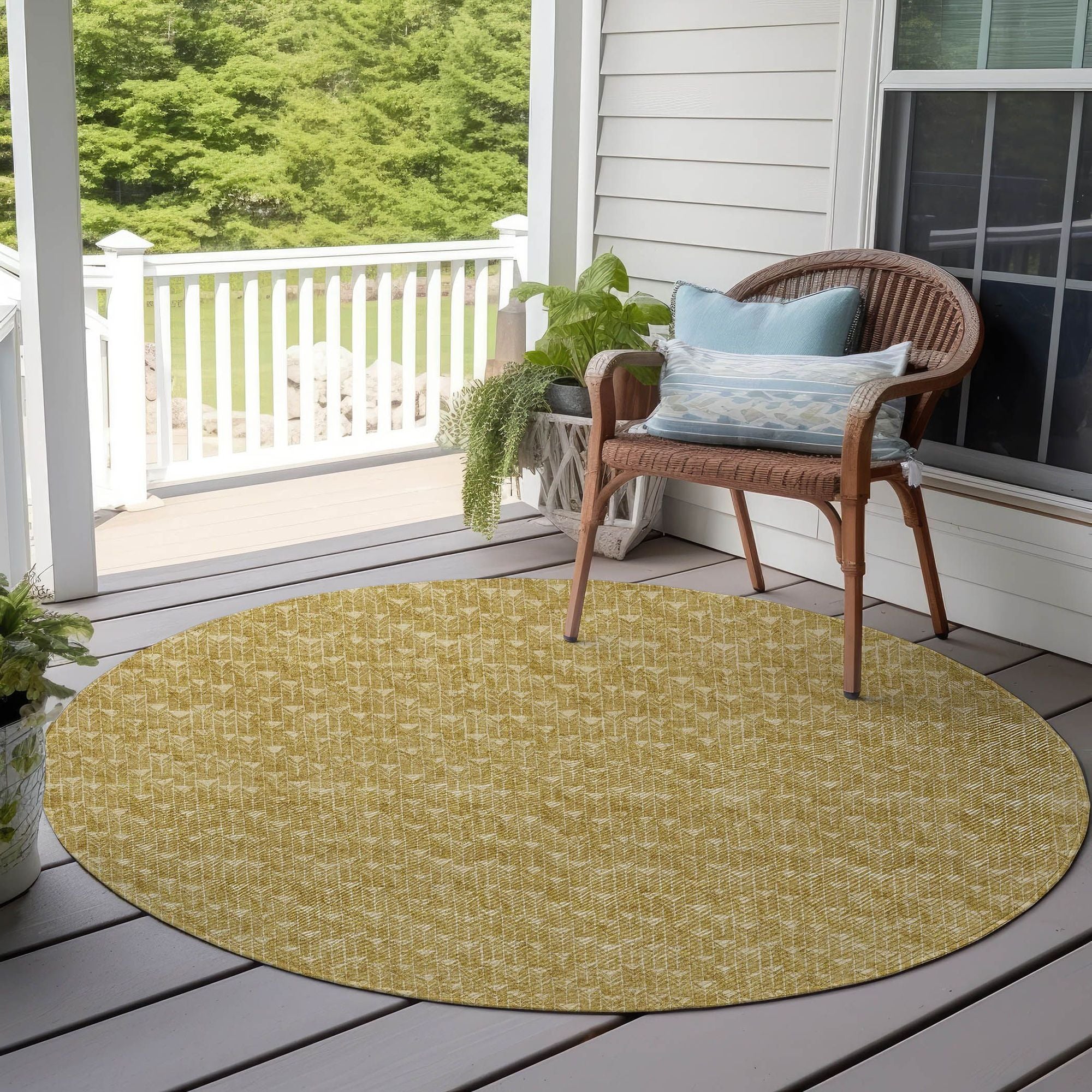 Machine Made ACN514 Gold  Rugs 