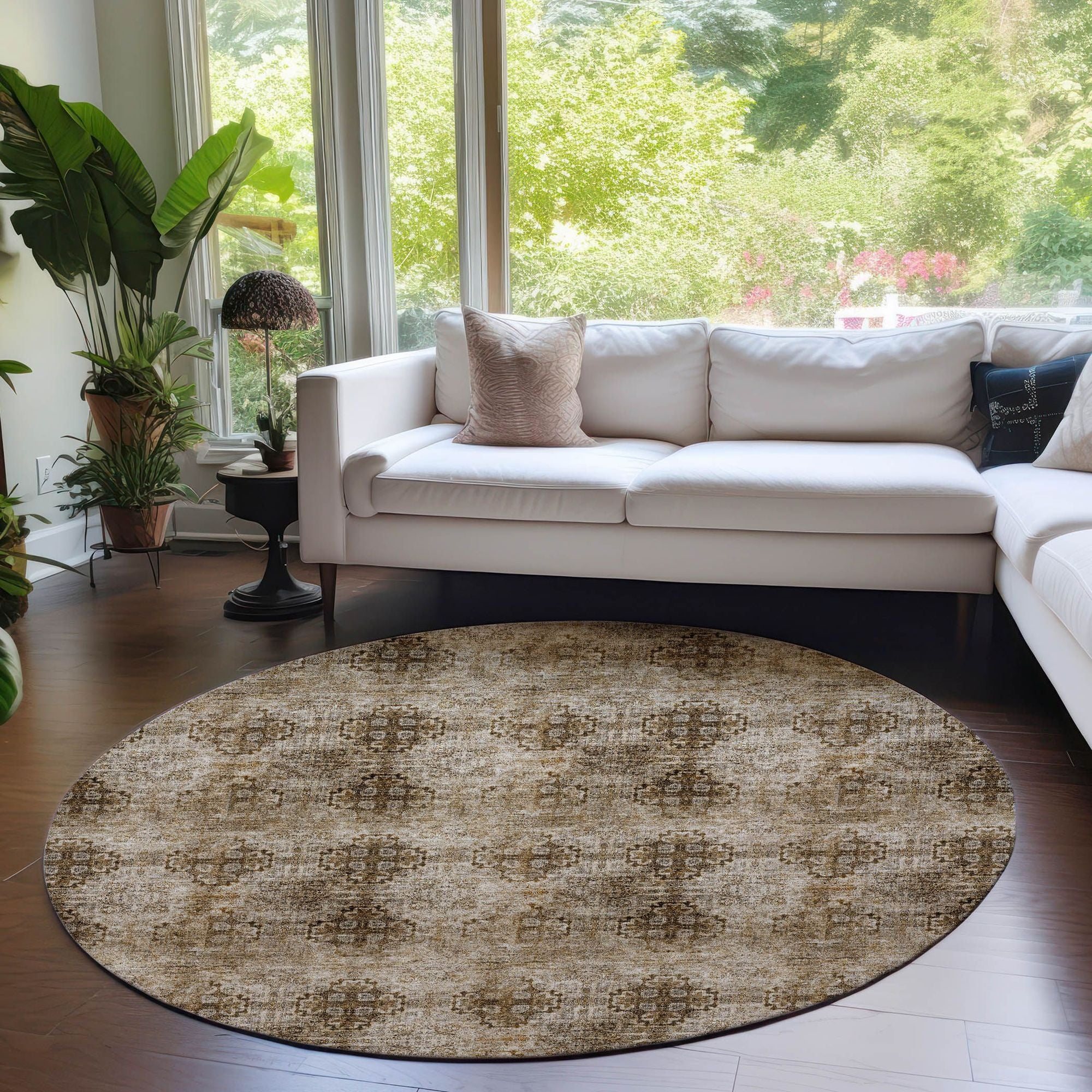 Machine Made ACN557 Taupe Brown Rugs 