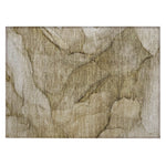 Machine Washable Brown Rug - Indoor / Outdoor - Kids / Pet Friendly Modern Print Rug