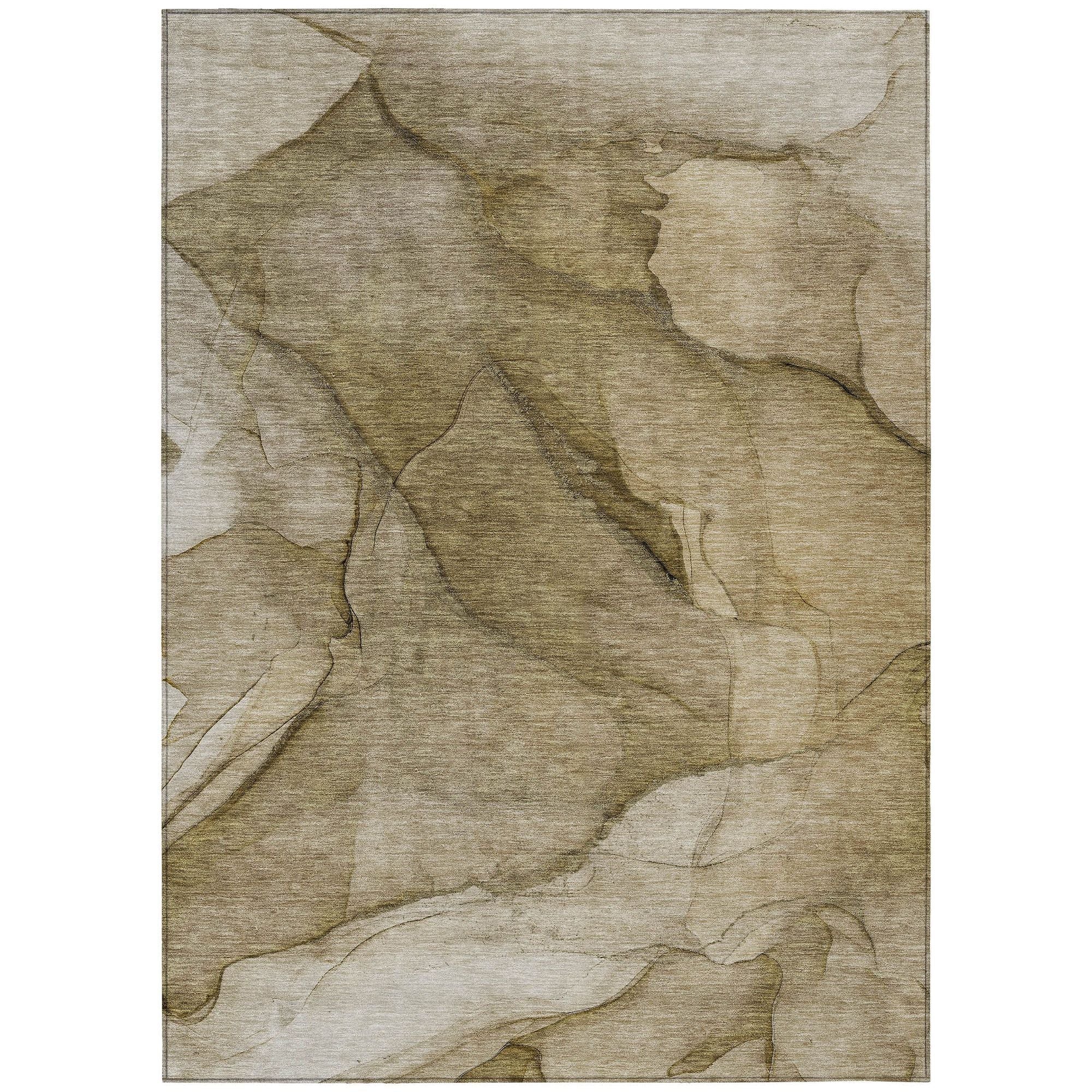 Machine Washable Brown Rug - Indoor / Outdoor - Kids / Pet Friendly Modern Print Rug