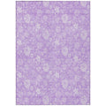 Lilac Purple