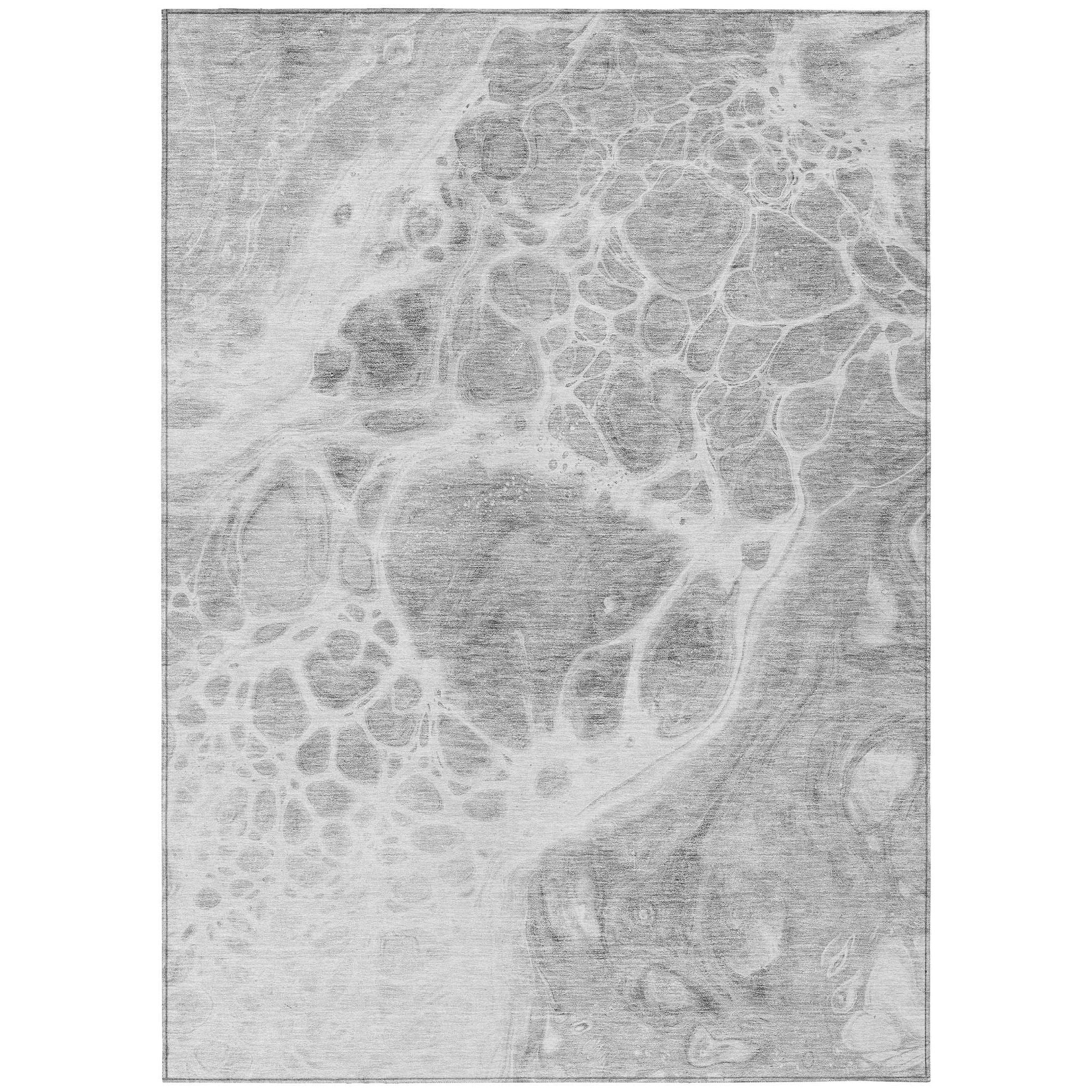 Machine Washable Gray Rug - Indoor / Outdoor - Kids / Pet Friendly Modern Print Rug