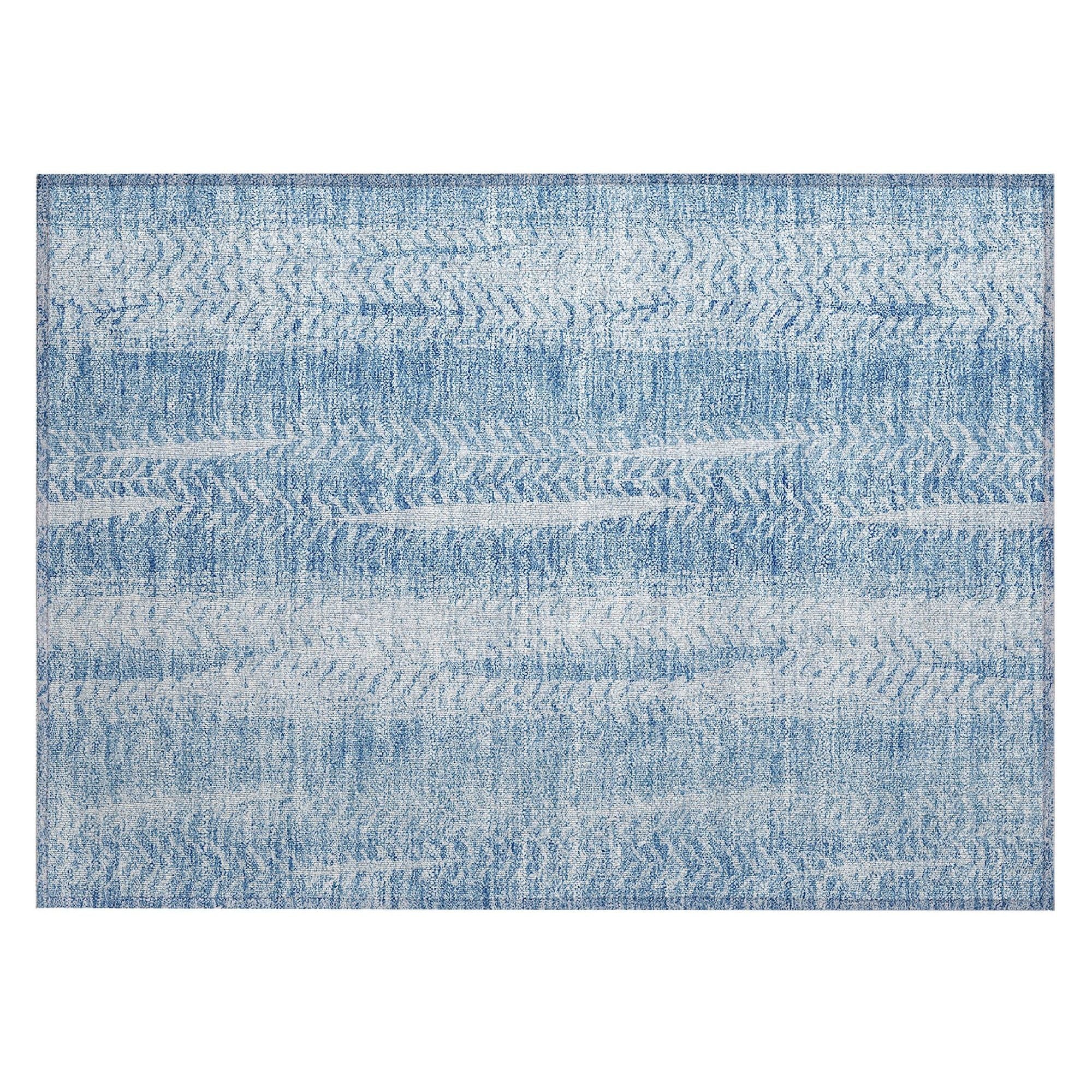 Machine Washable Sky Blue Rug - Indoor / Outdoor - Kids / Pet Friendly Organic Print Rug