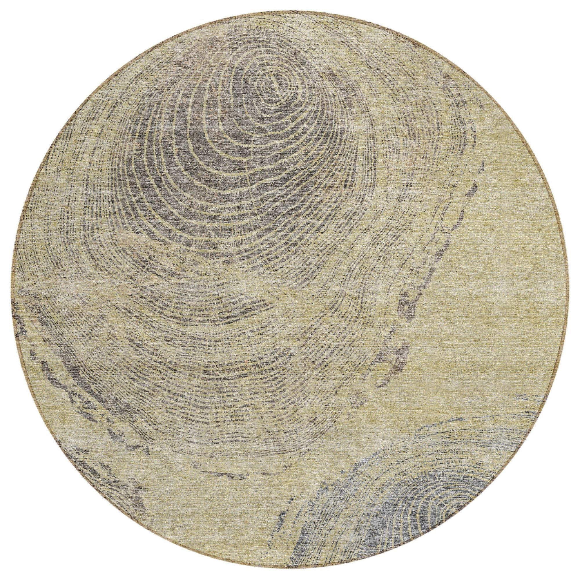 Selkirk Machine Washable Rug