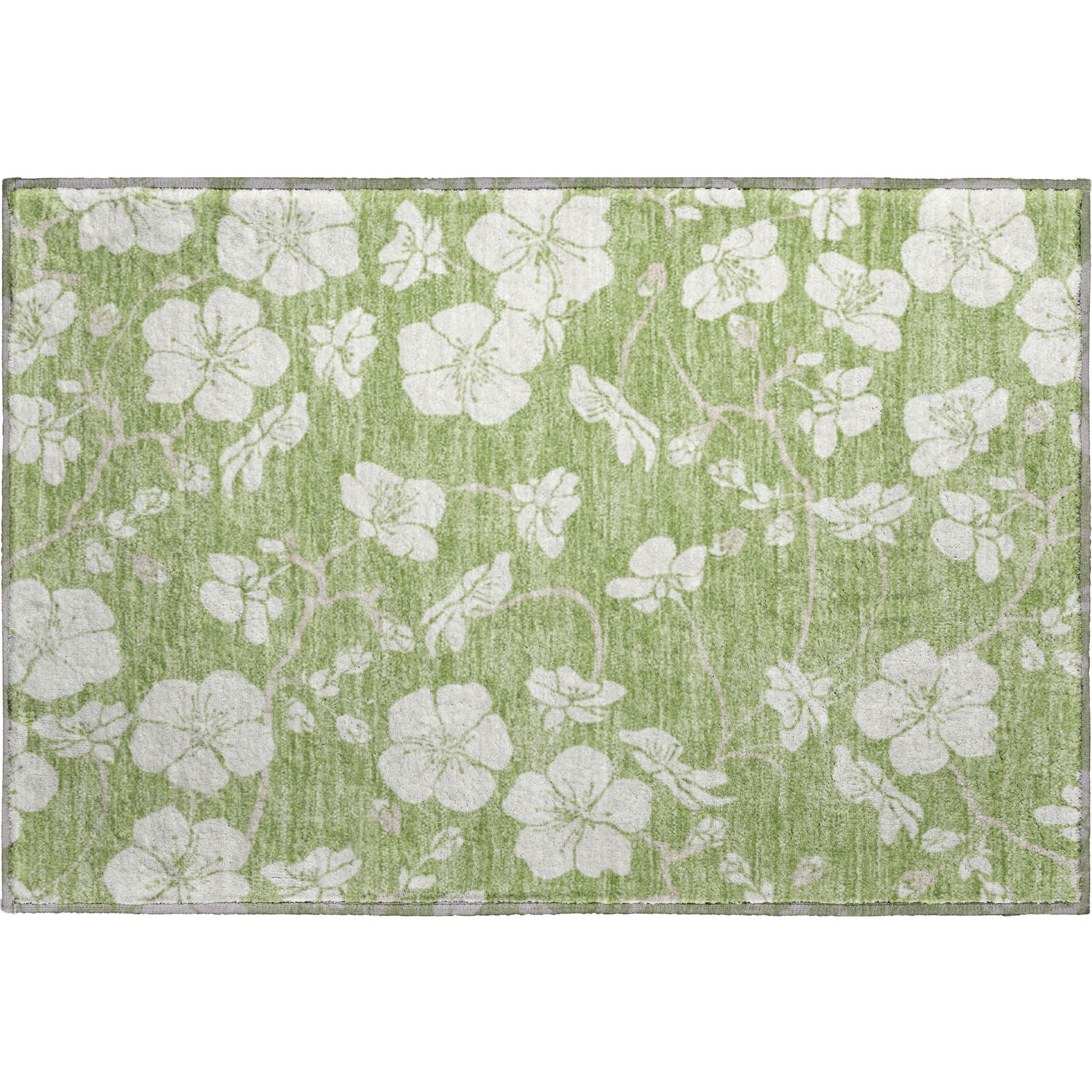 Oaxaca Machine Washable Transitional Aloe Green Rug 1'8" x 2'6" #shape_Rectangle