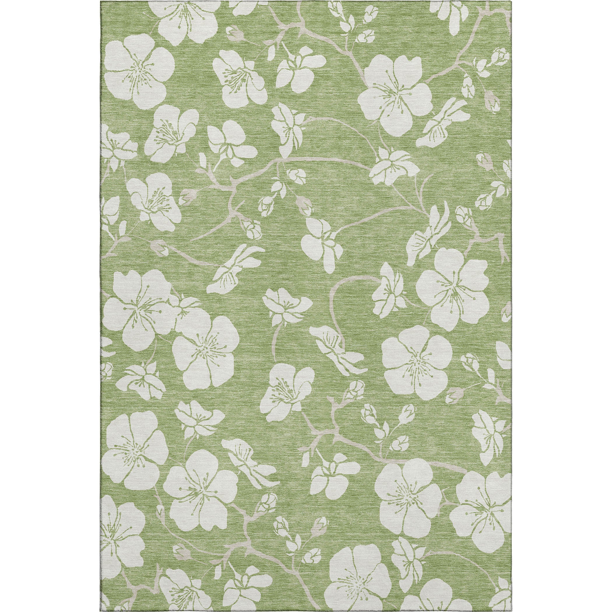 Oaxaca Machine Washable Transitional Aloe Green Rug 2'6" x 3'10" #shape_Rectangle