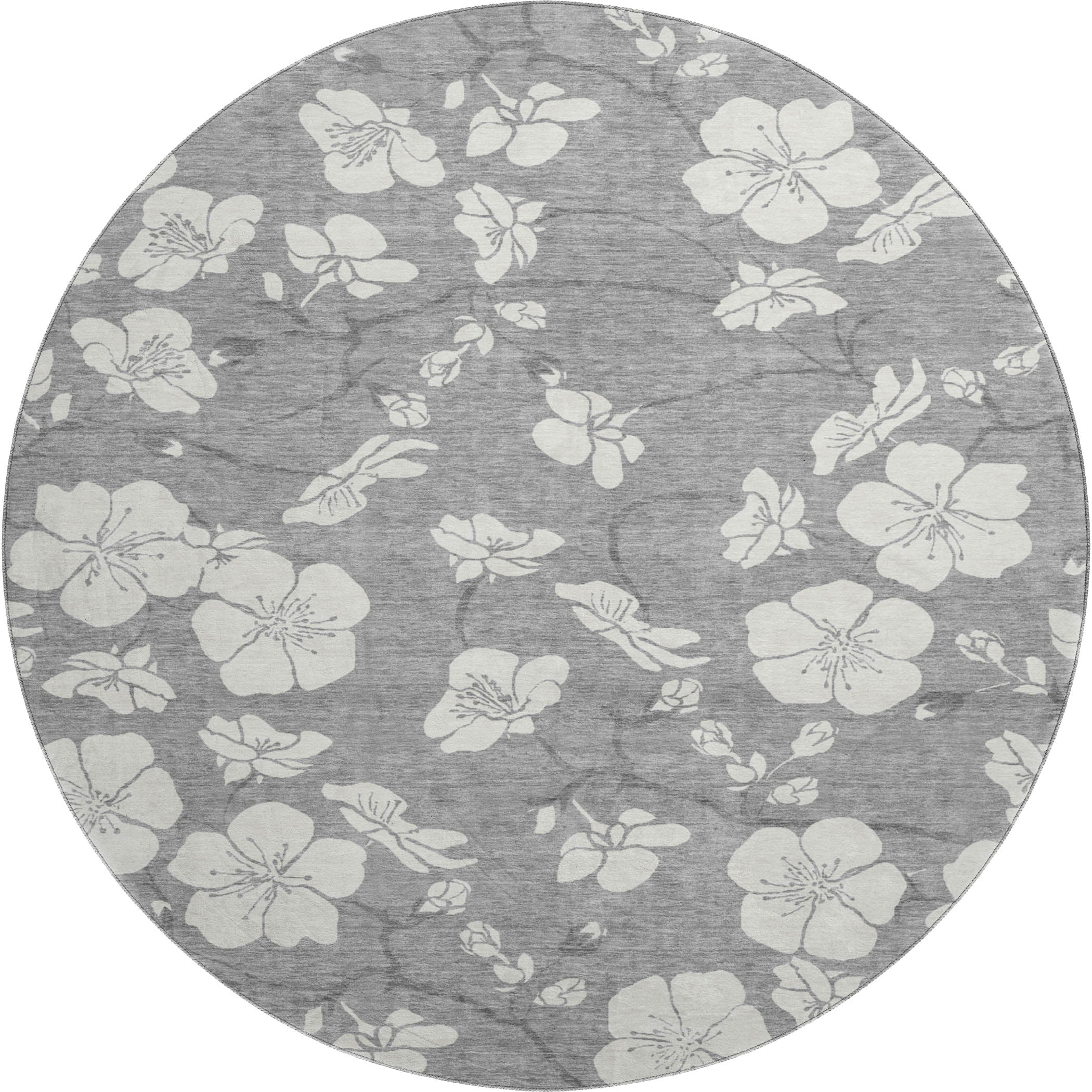 Oaxaca Machine Washable Transitional Gray Rug 8' x 8' #shape_Round