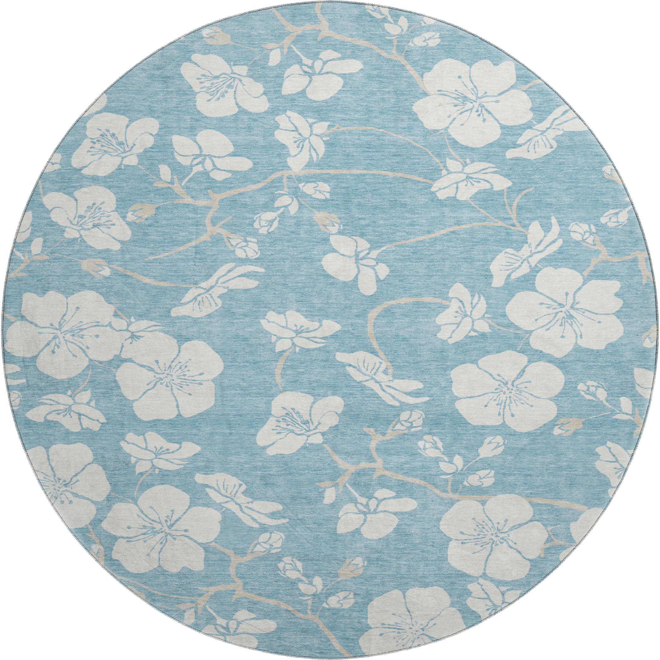 Oaxaca Machine Washable Transitional Sky Blue Rug 8' x 8' #shape_Round