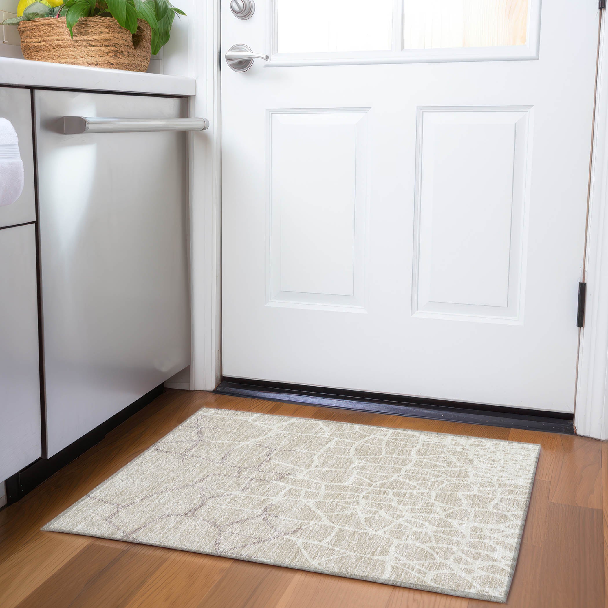 Dubrovnik Machine Washable Transitional Beige Brown Rug 1'8" x 2'6" #shape_Rectangle