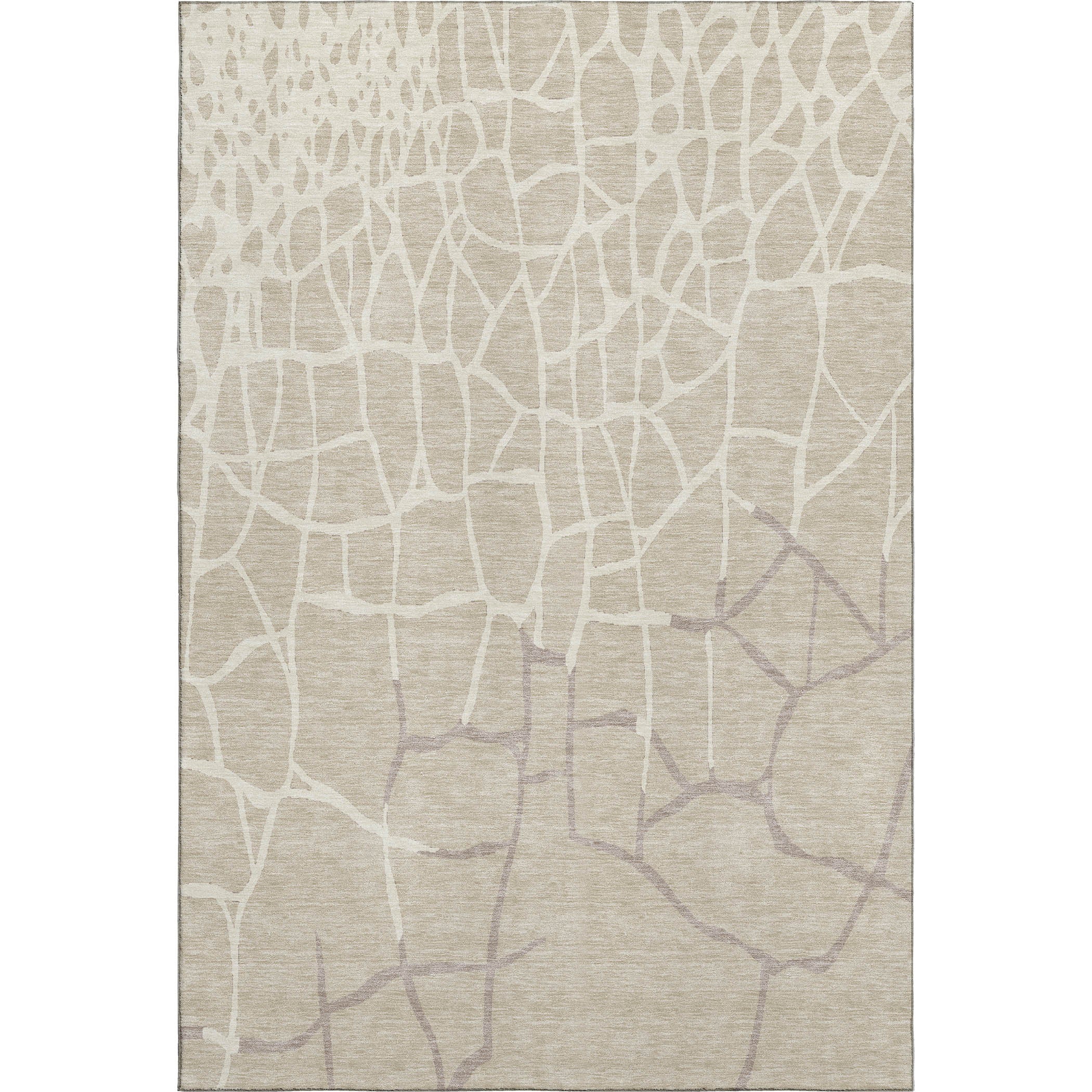 Dubrovnik Machine Washable Transitional Beige Brown Rug 2'6" x 3'10" #shape_Rectangle