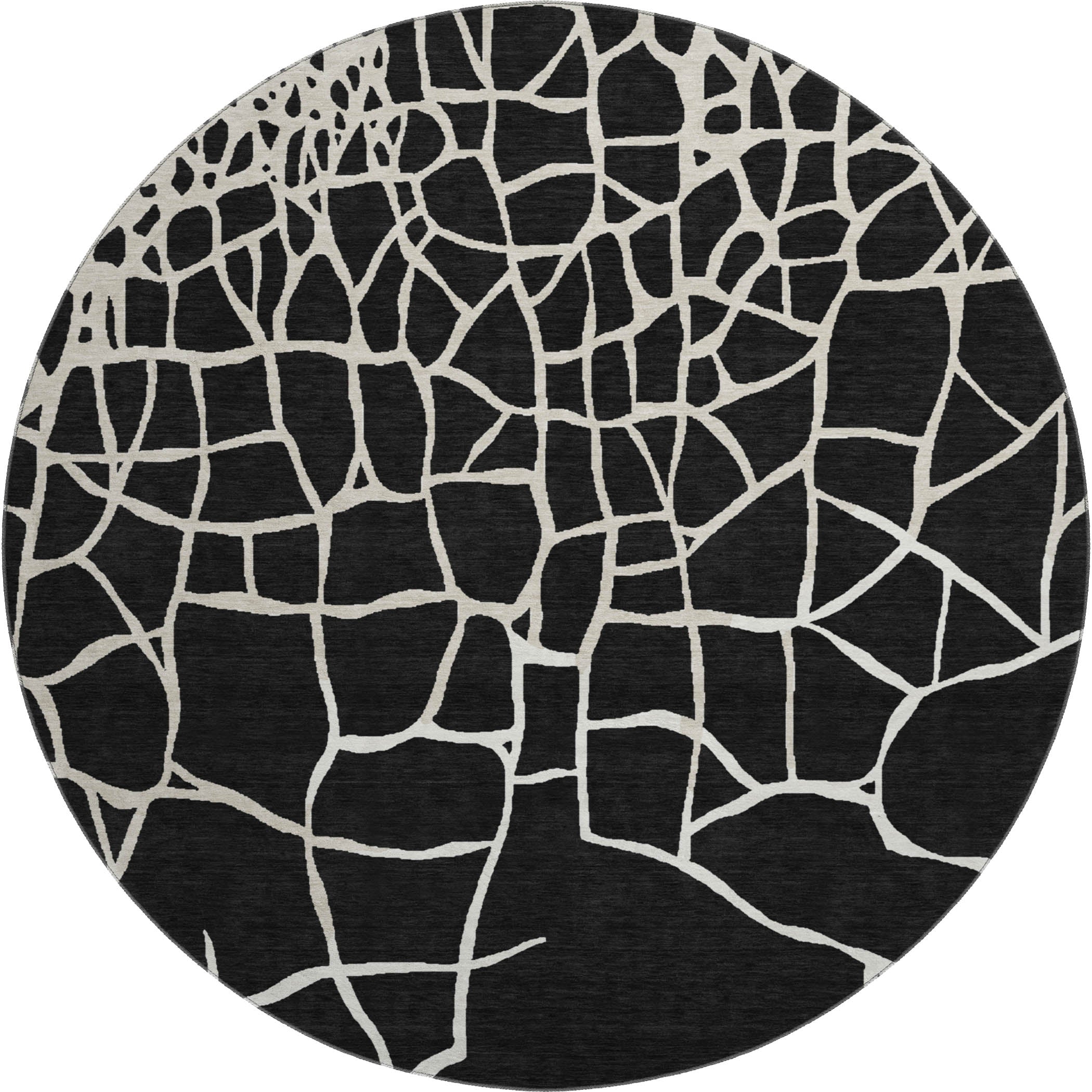 Dubrovnik Machine Washable Transitional Black Rug 8' x 8' #shape_Round