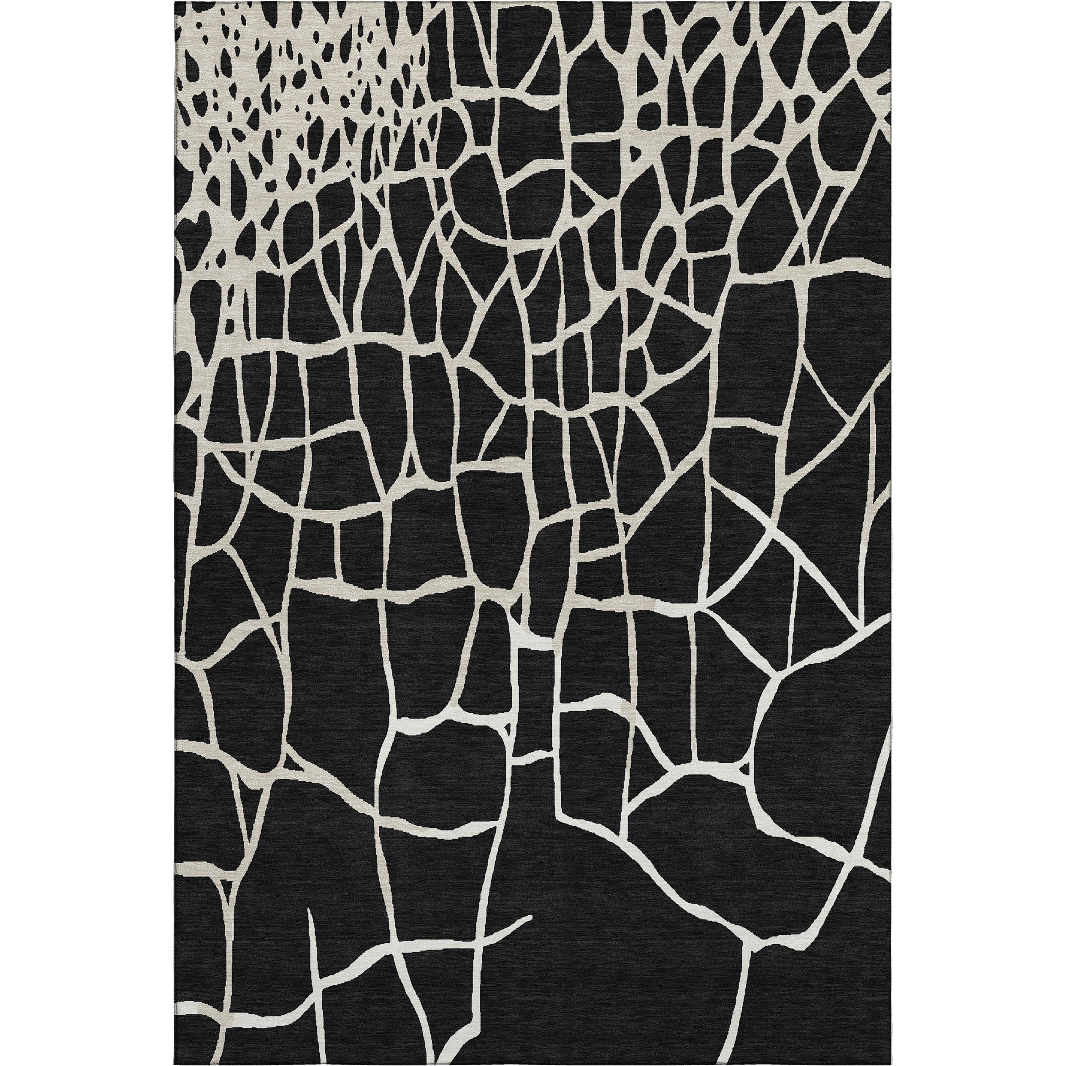 Dubrovnik Machine Washable Transitional Black Rug 2'6" x 3'10" #shape_Rectangle