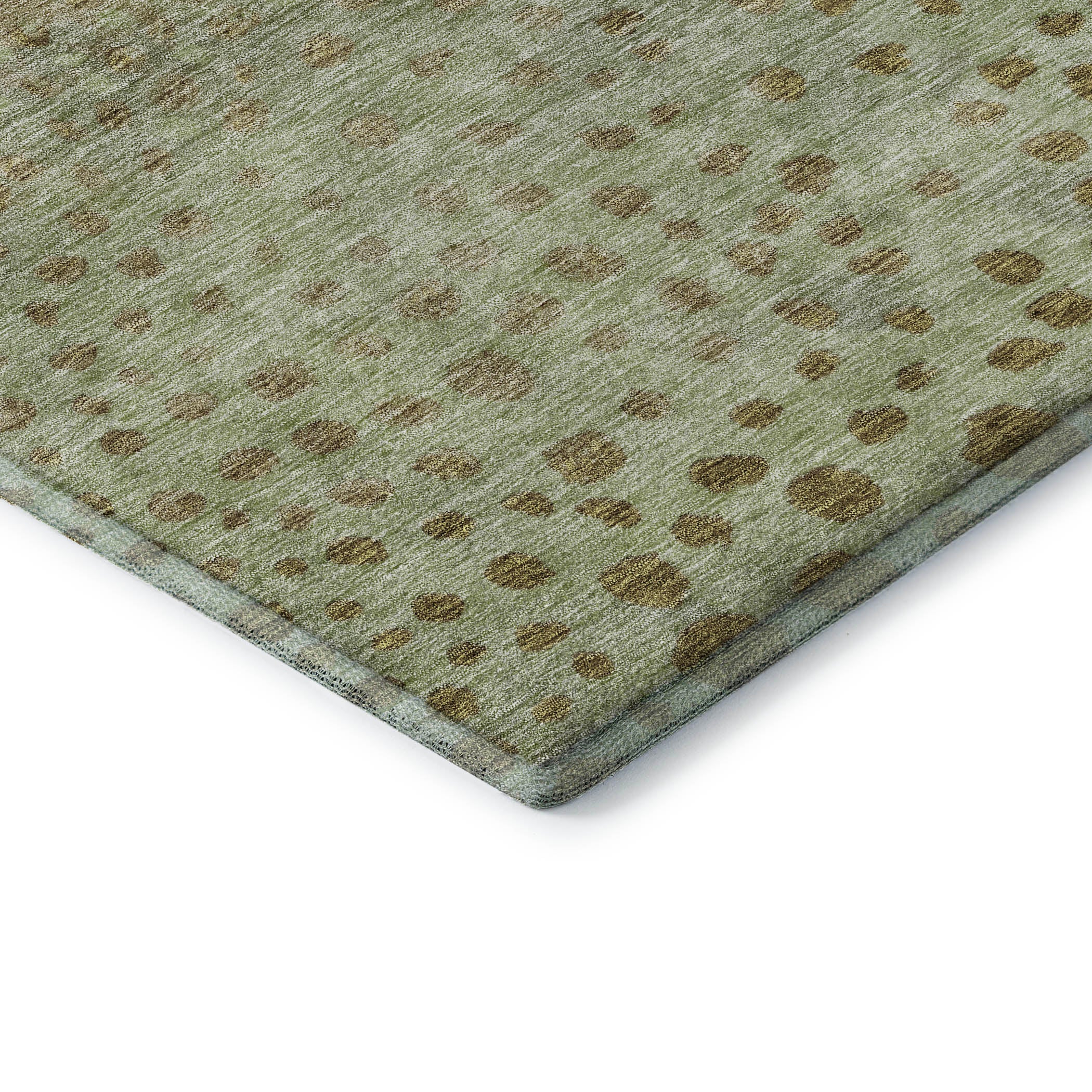 Bruges Machine Washable Transitional Aloe Green Rug 1'8" x 2'6" #shape_Rectangle